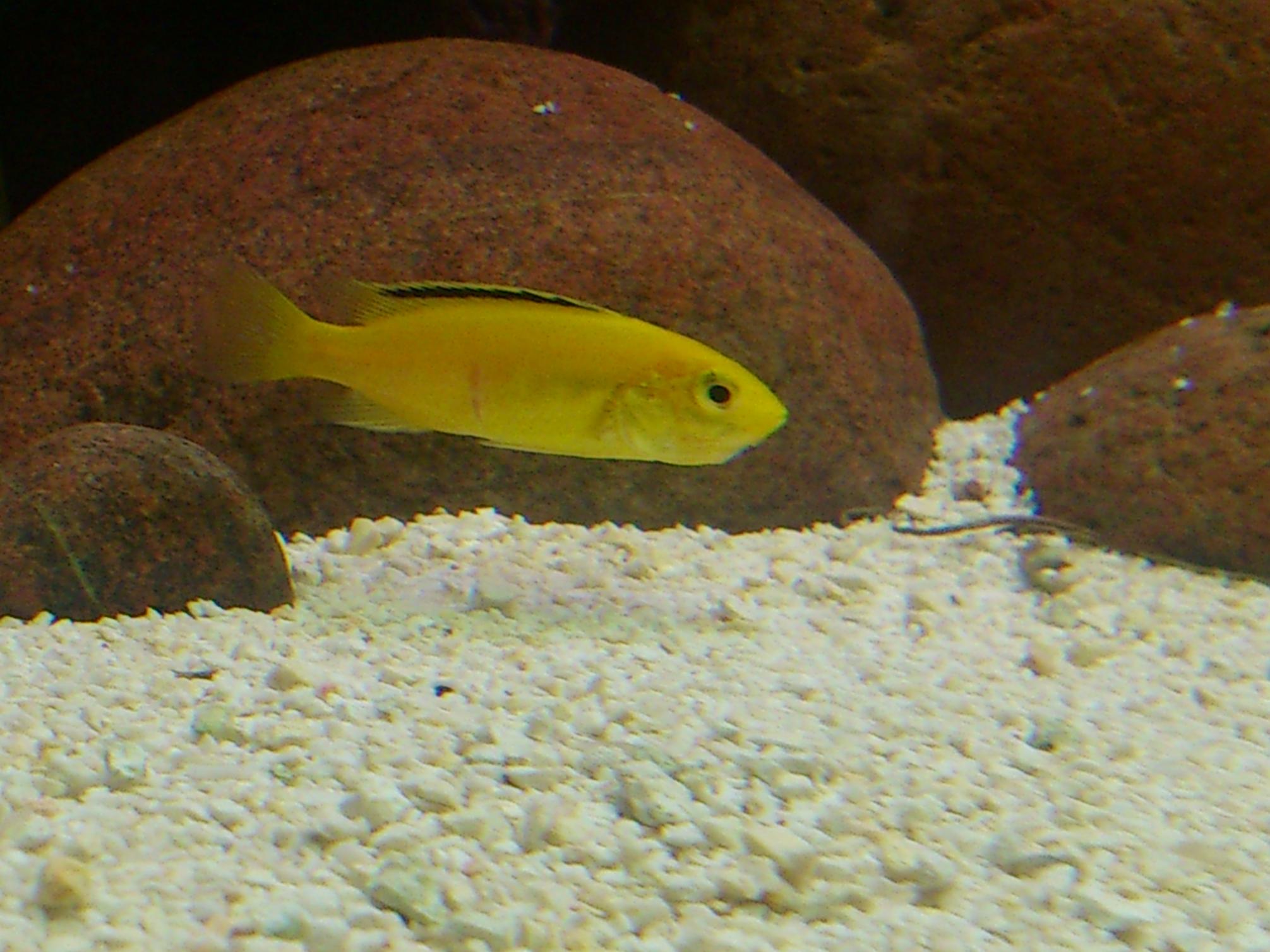 DSC_0004.jpg