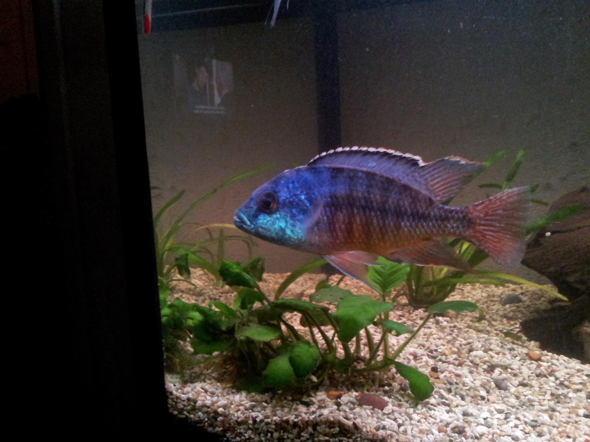 20130712_015258.jpg