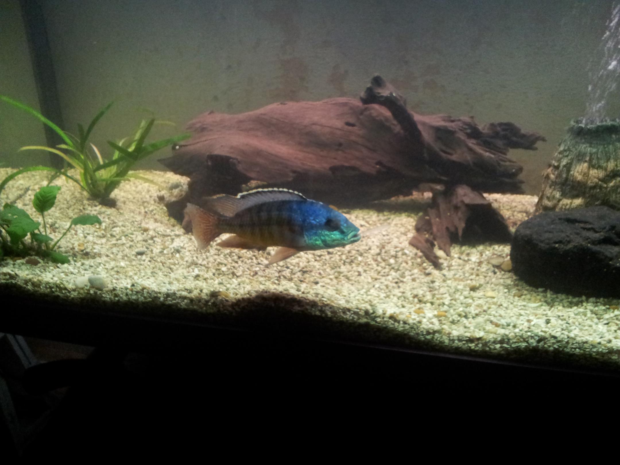 20130711_225132.jpg