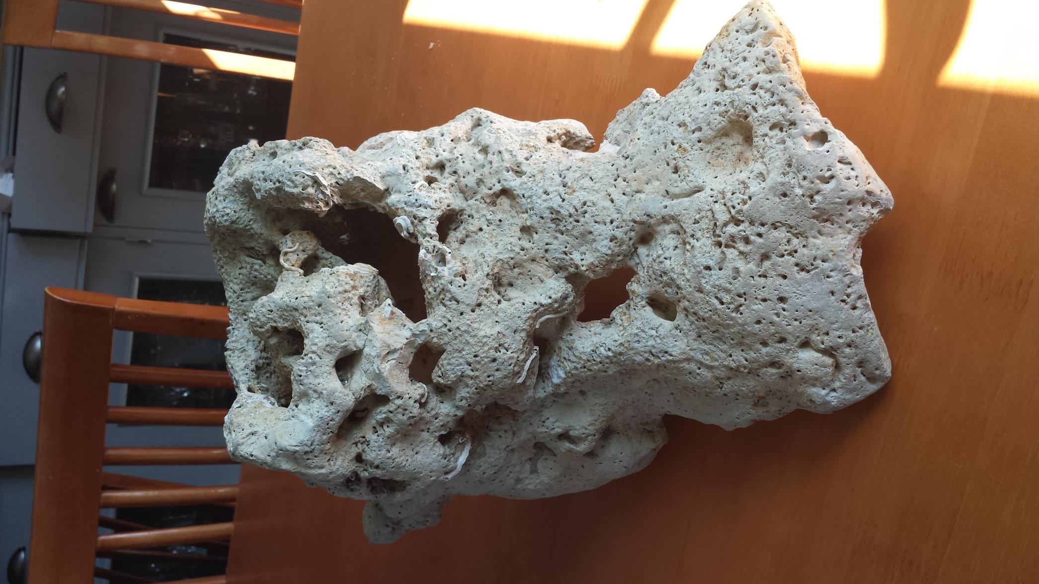 20130721_160050.jpg