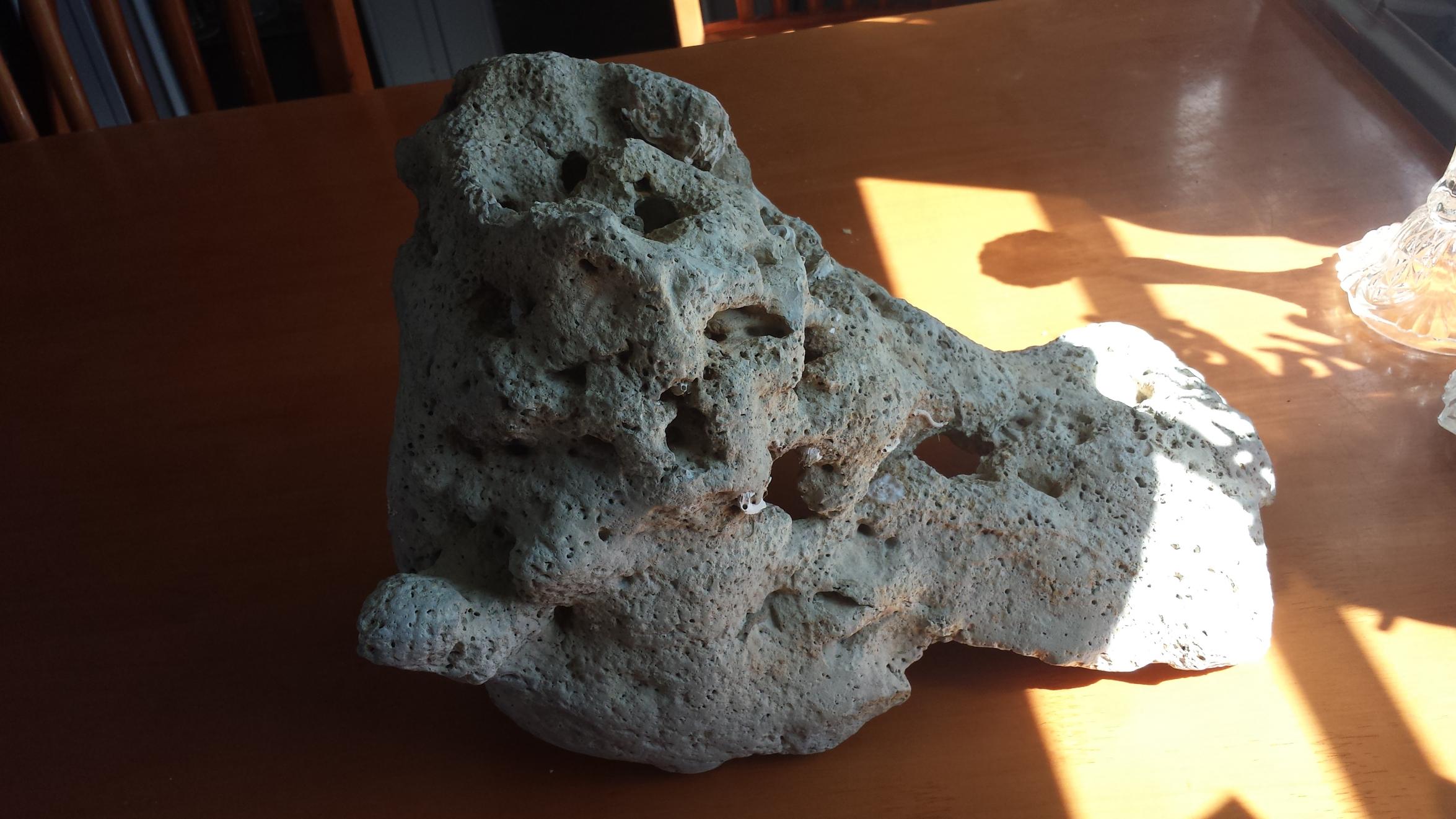 20130721_160117.jpg
