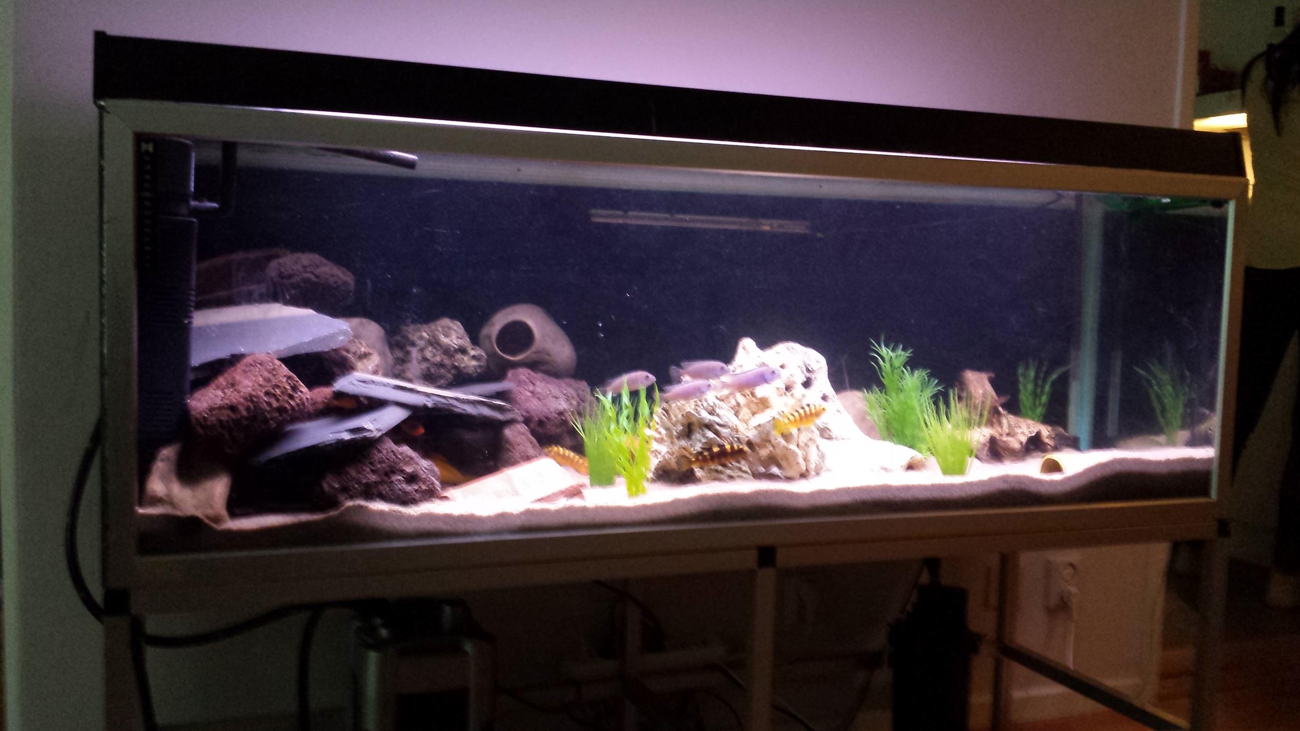 20130813_145513.jpg