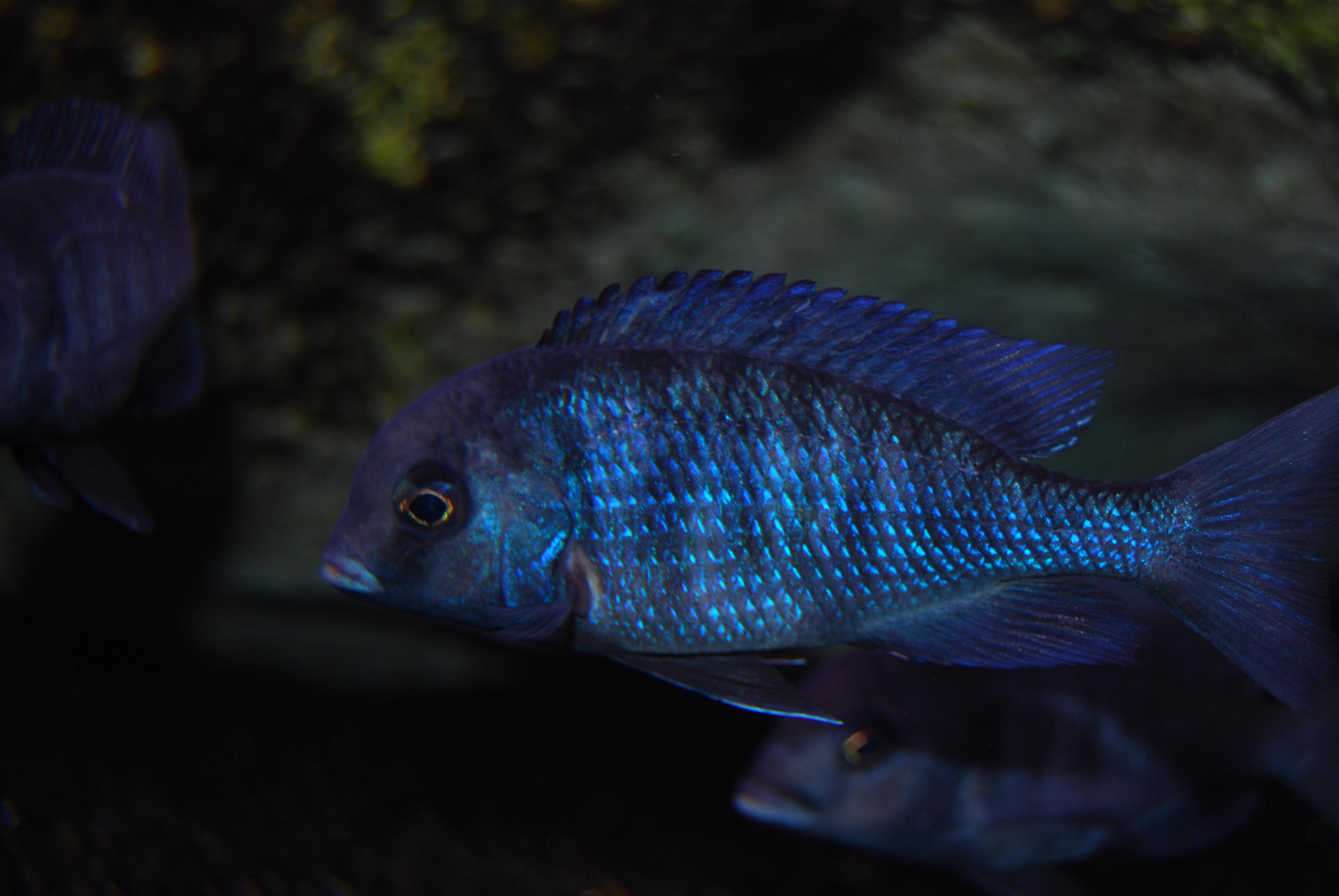 DSC_0179.jpg