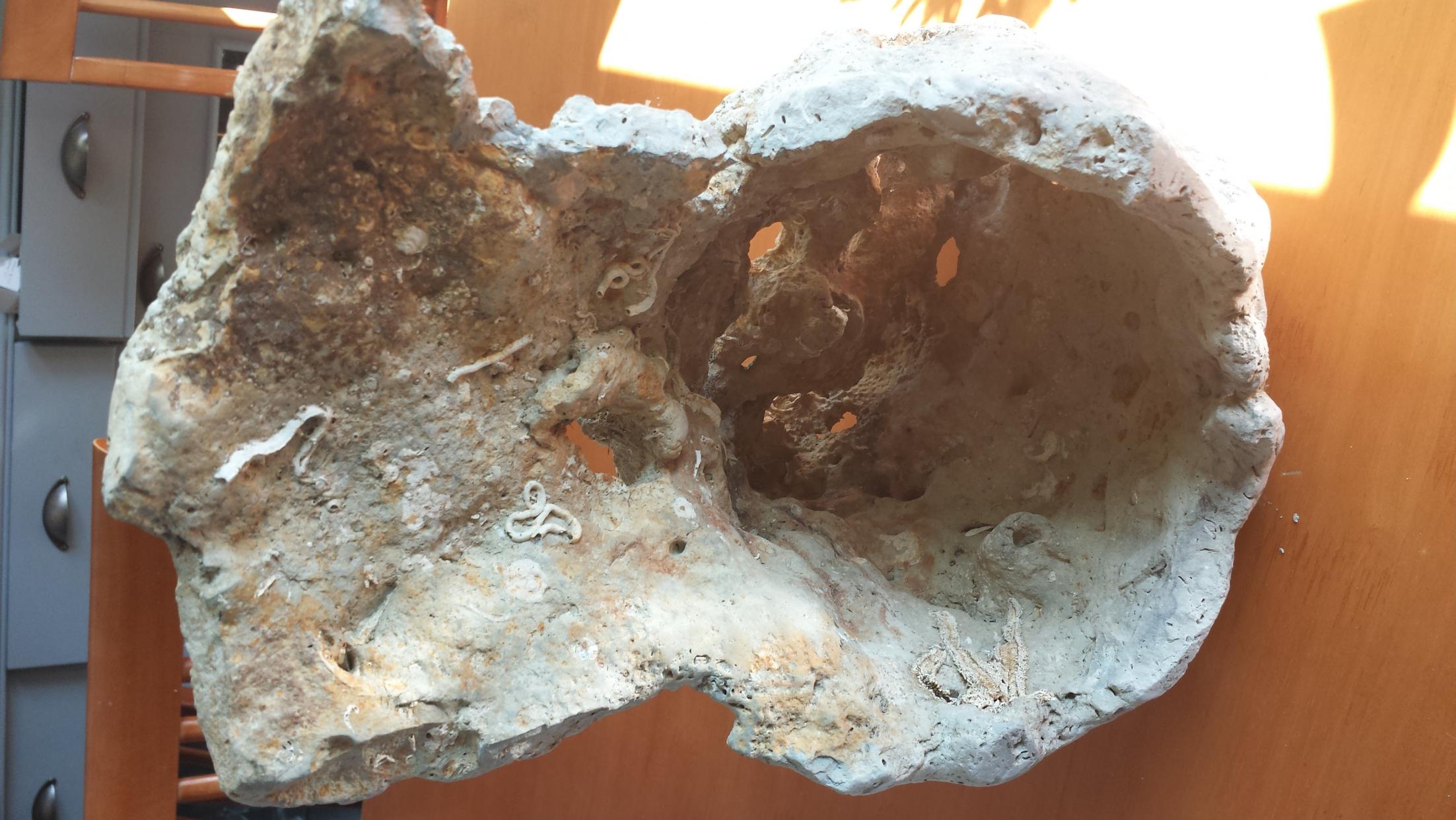 20130721_160155.jpg