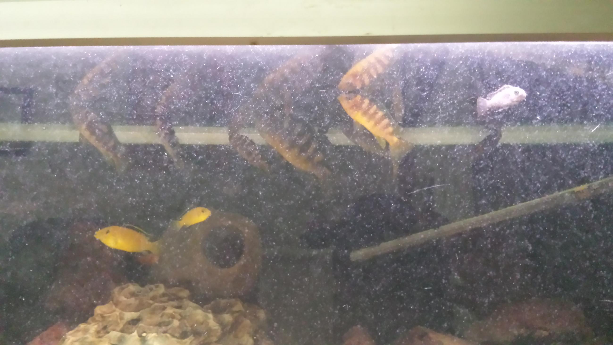 20130805_124635.jpg