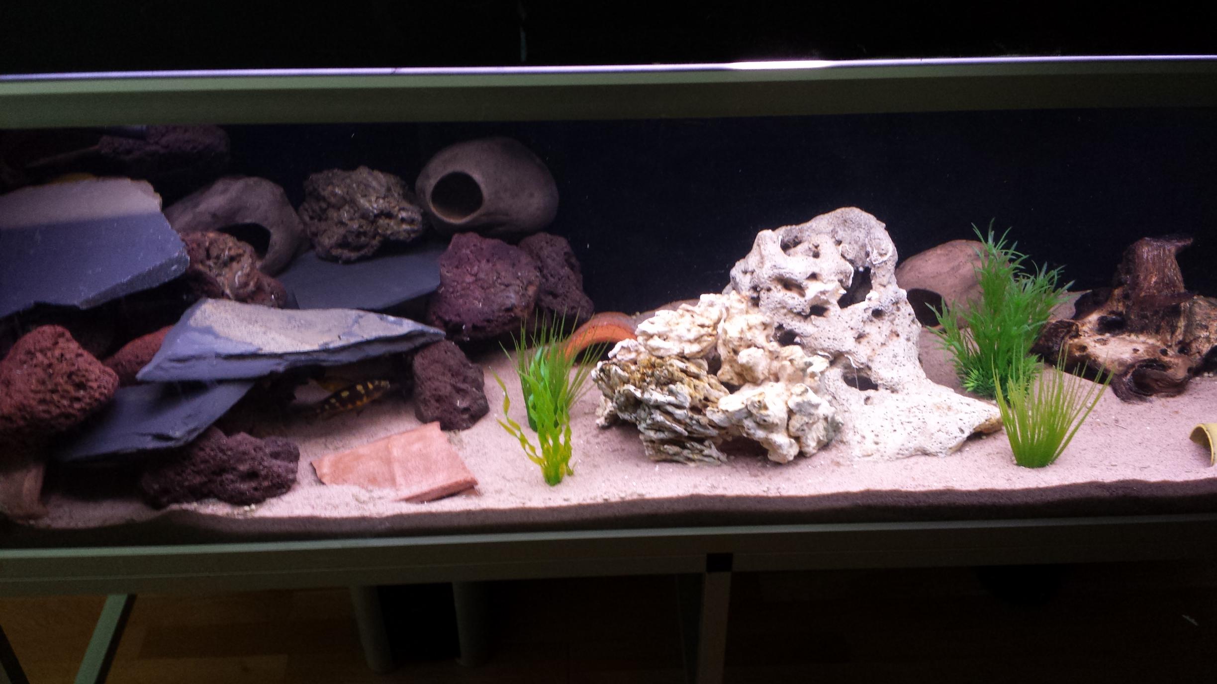 20130812_152107.jpg
