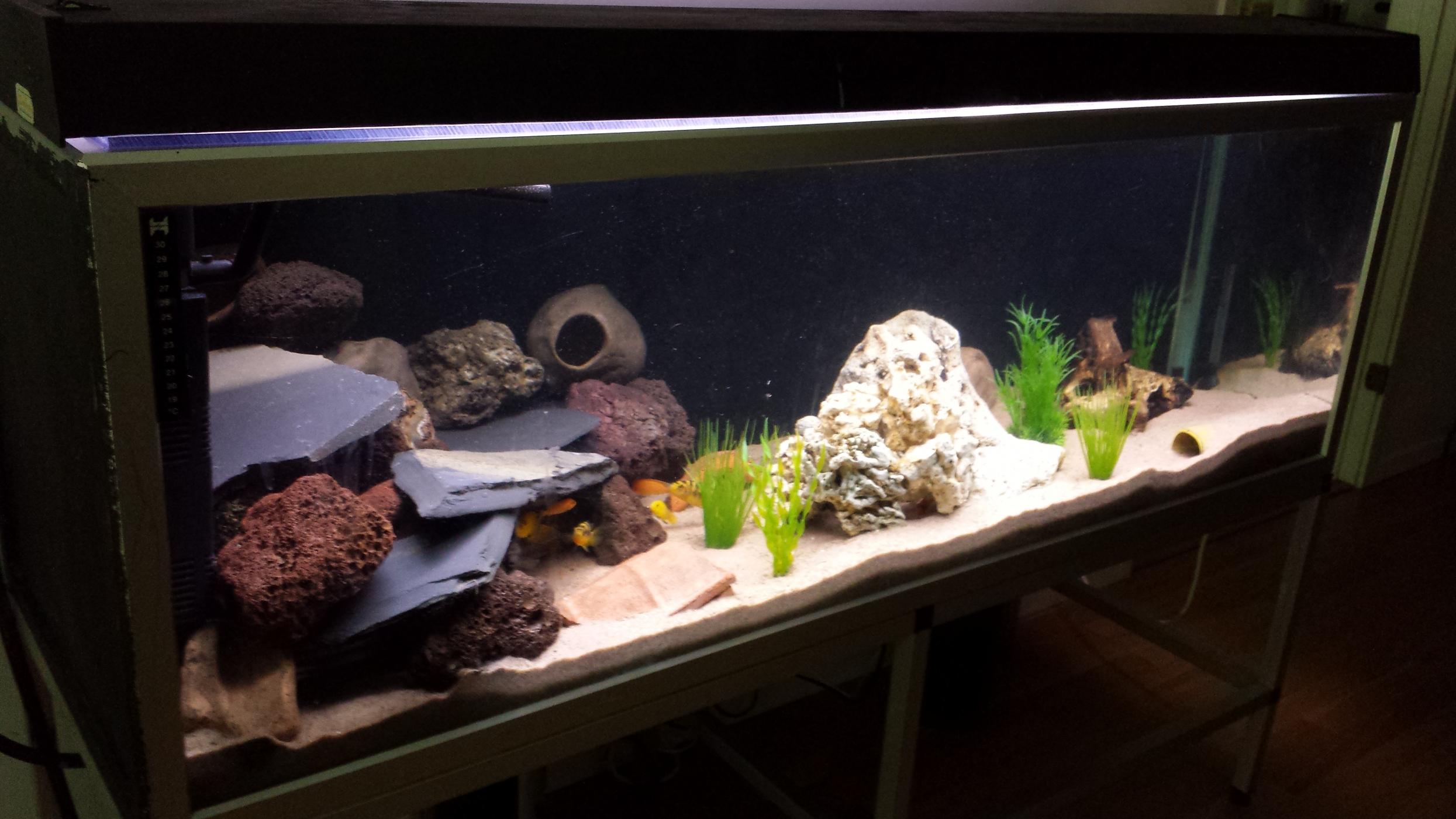 20130816_121338_1.jpg