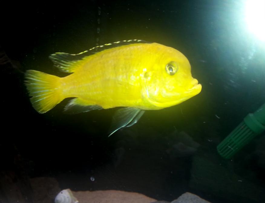 2013-10-25 02.28.13.jpg