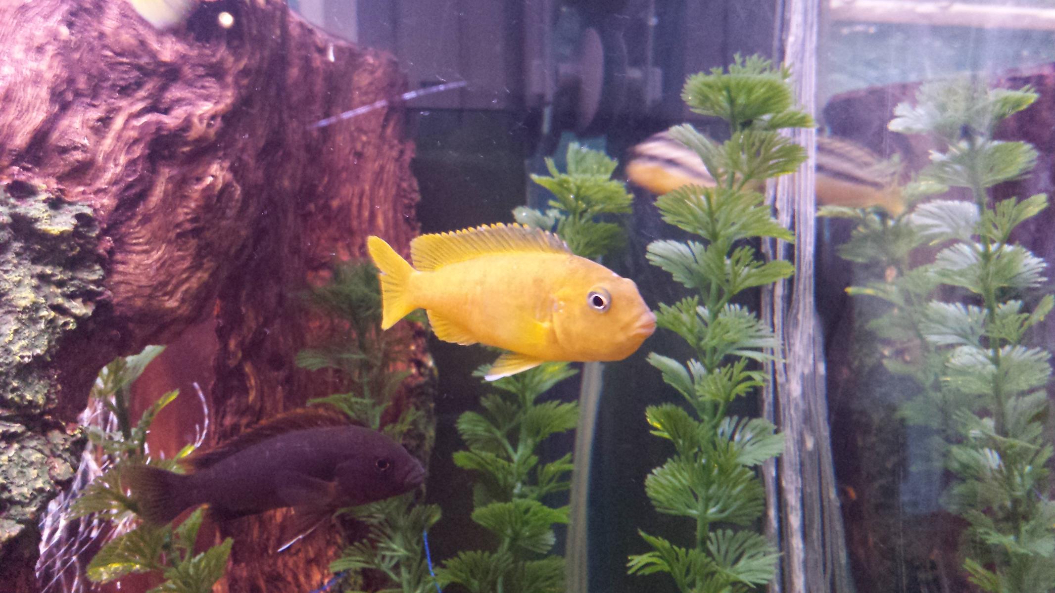 20131027_134236[1].jpg
