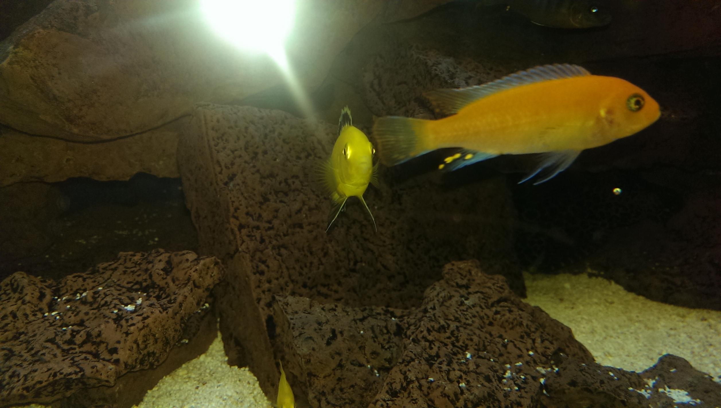IMAG1445.jpg
