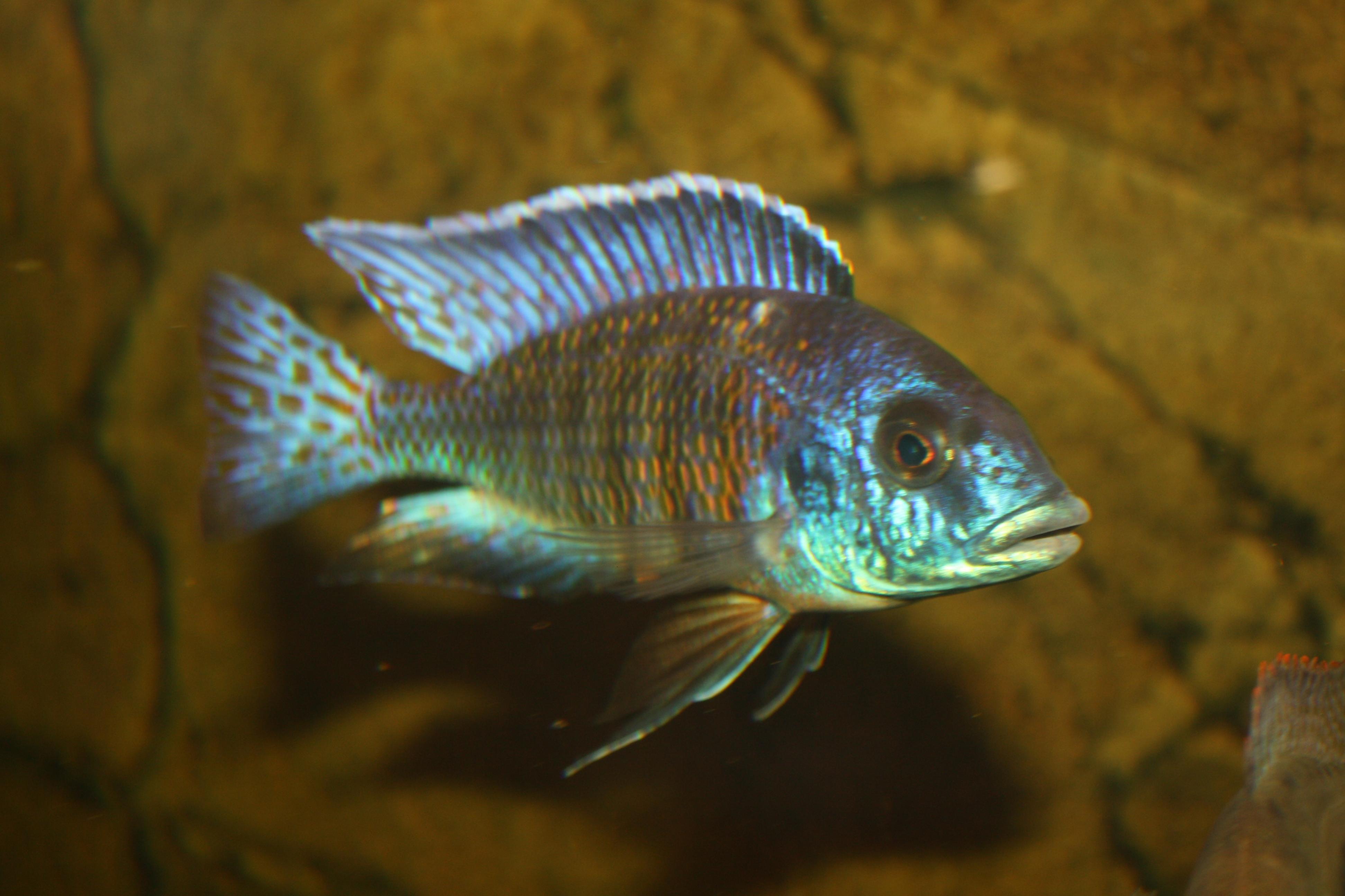 20131218-2 005.jpg