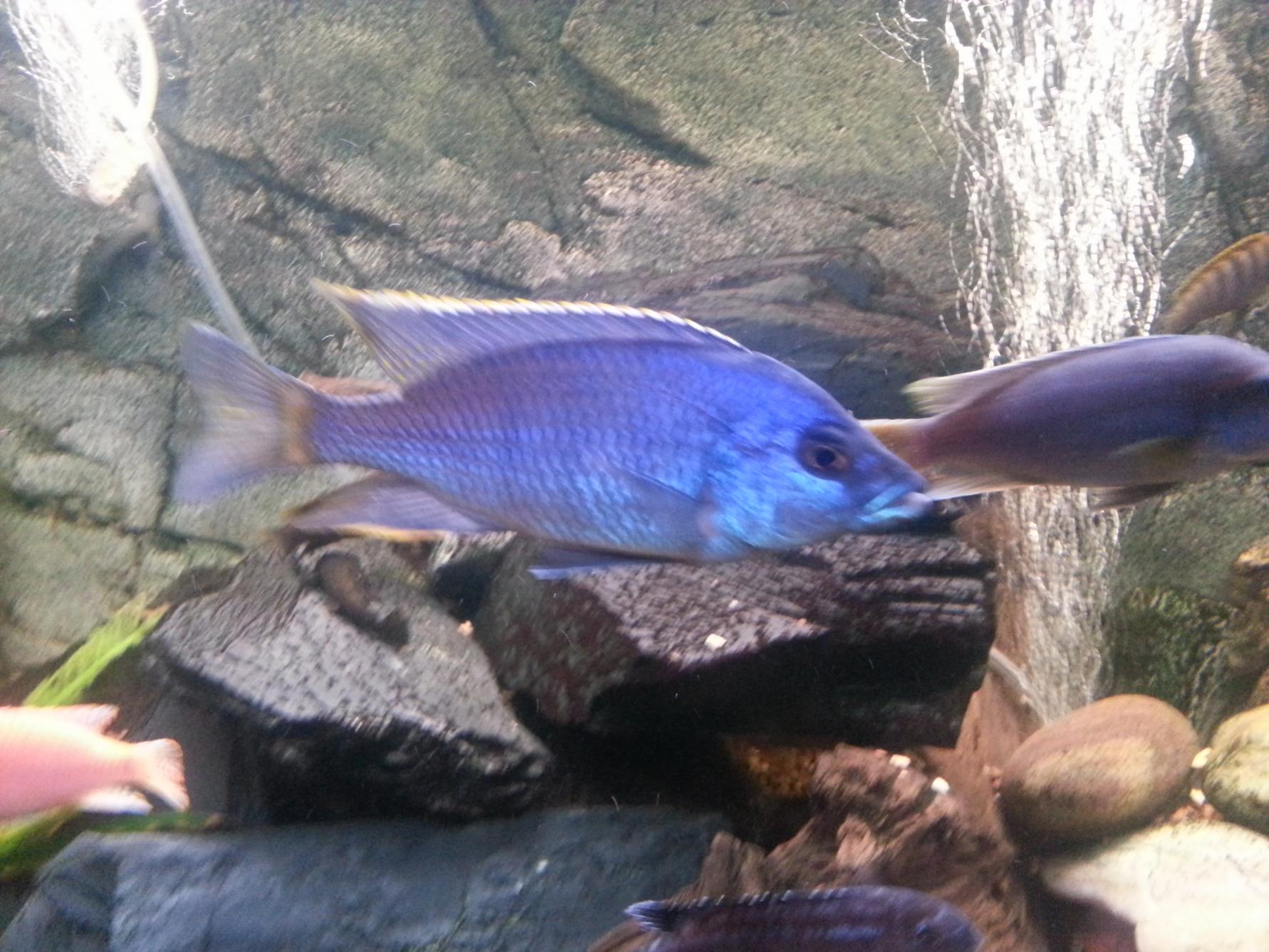 20140103_180848.jpg