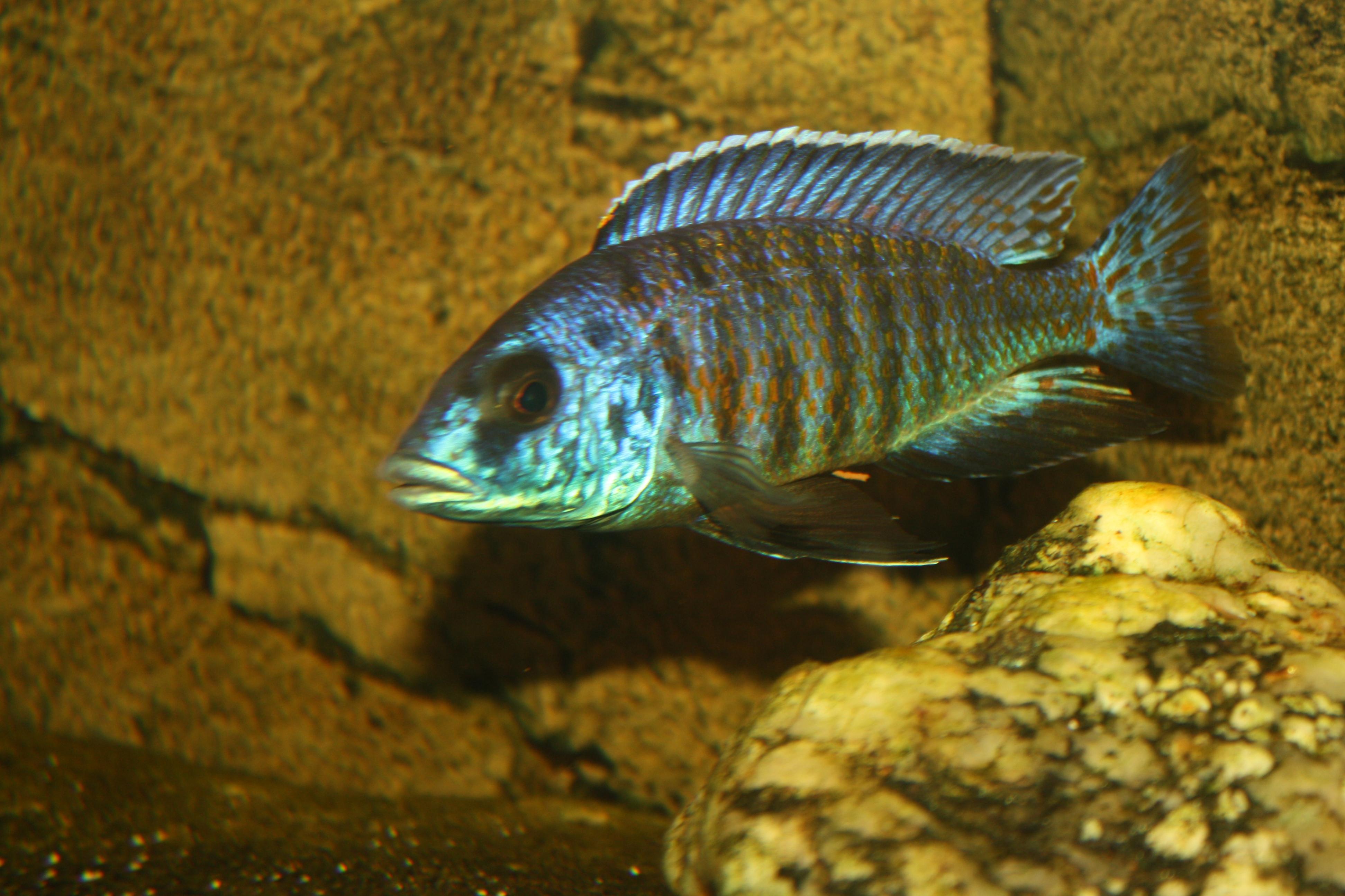 20131218-2 022.jpg