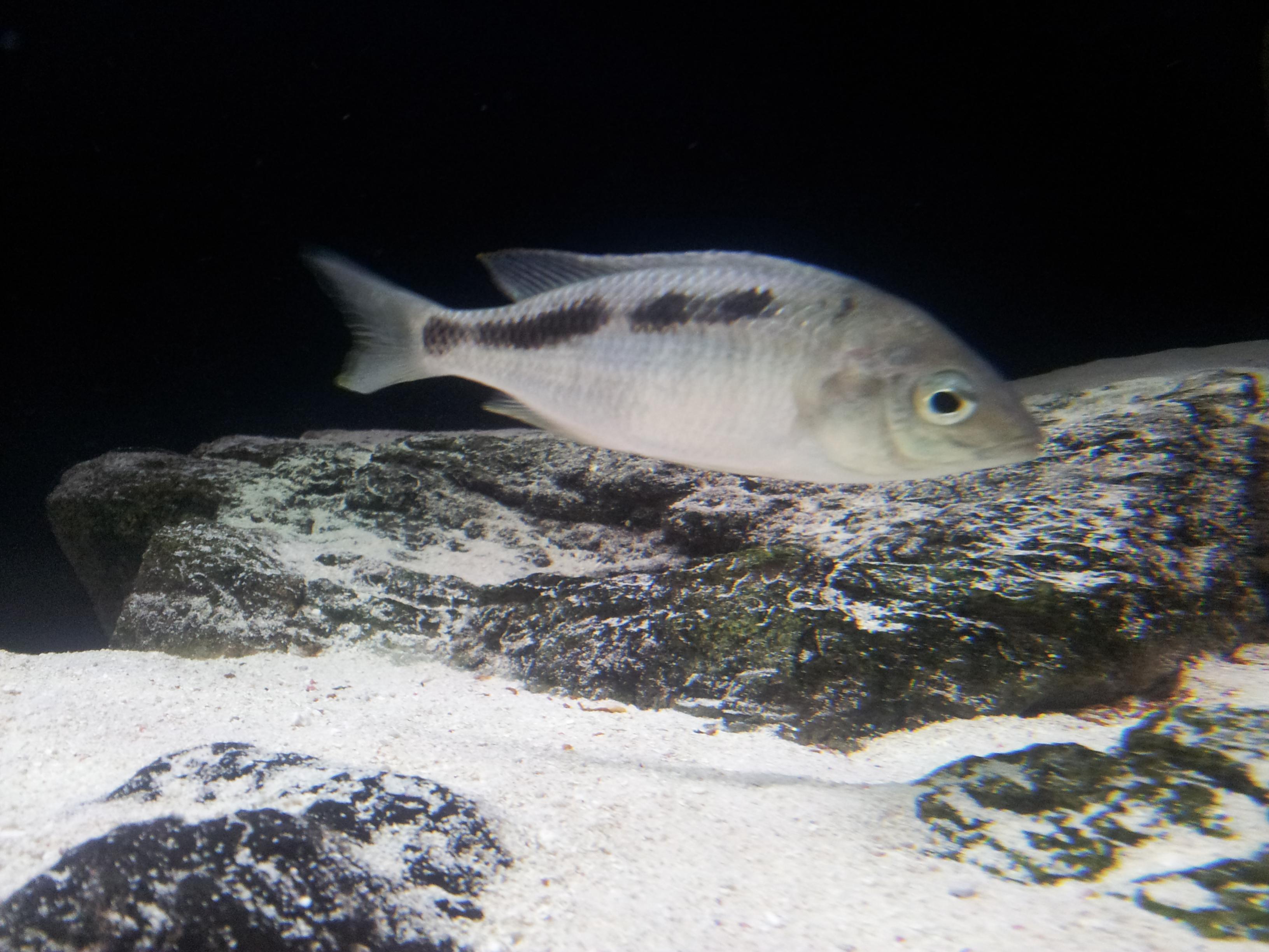 20130121_172741.jpg