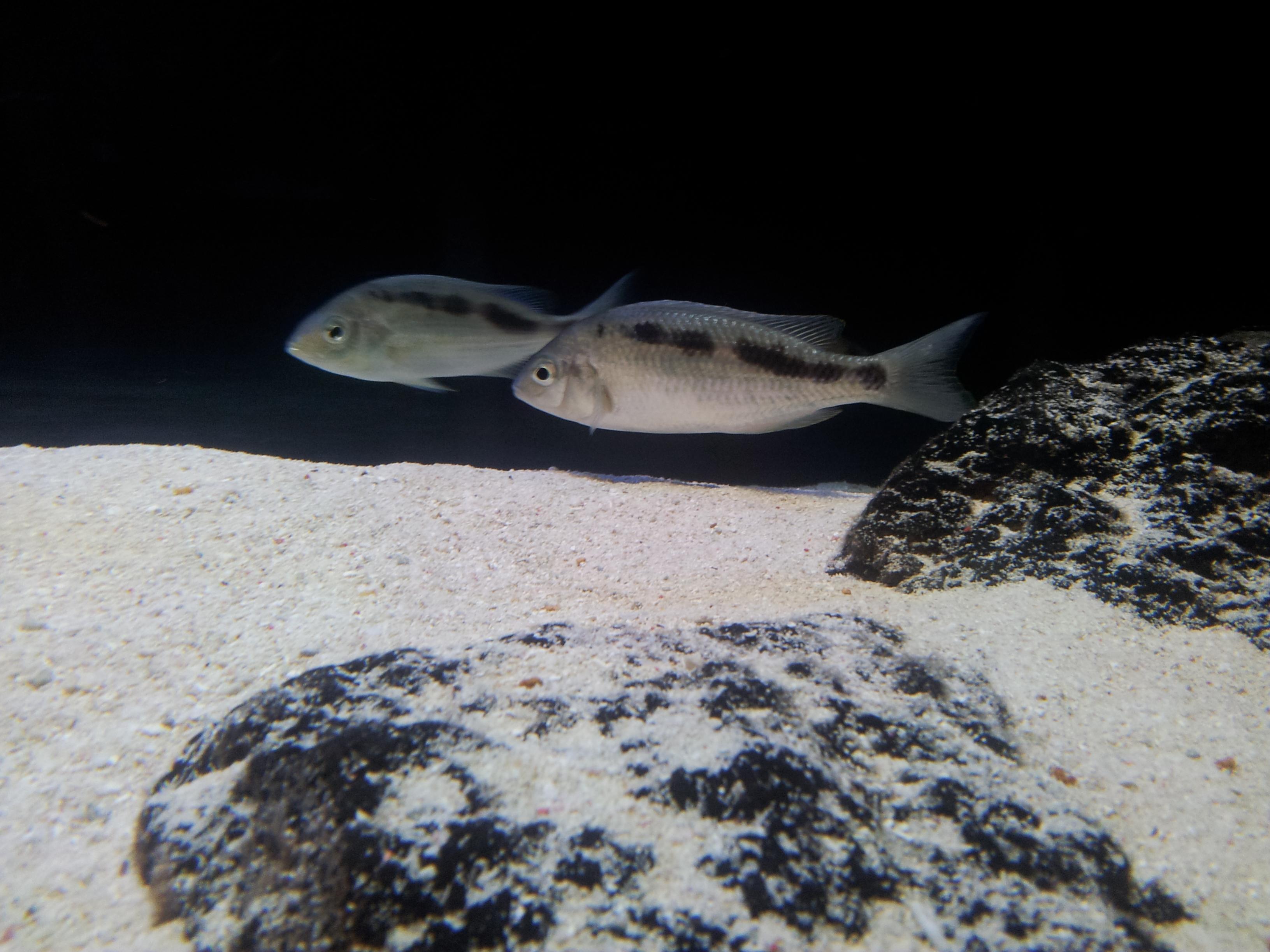20130121_172445.jpg
