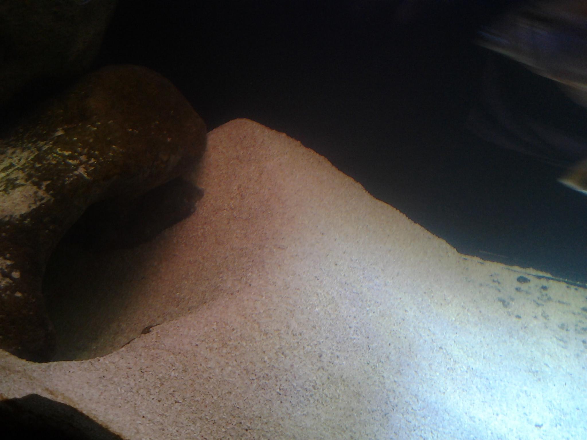 20130508_201439.jpg