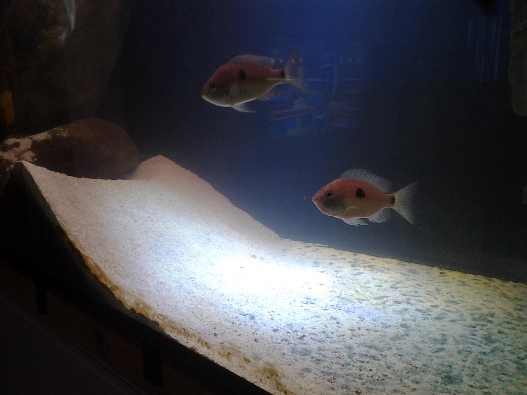 20130508_201354.jpg