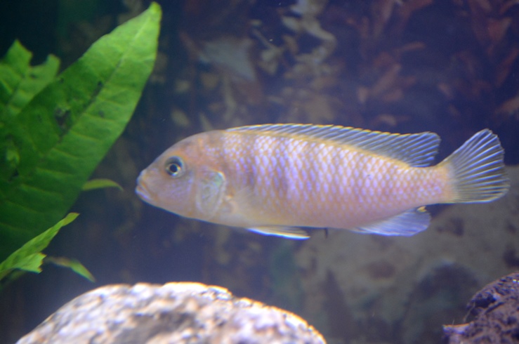 DSC_0442.JPG