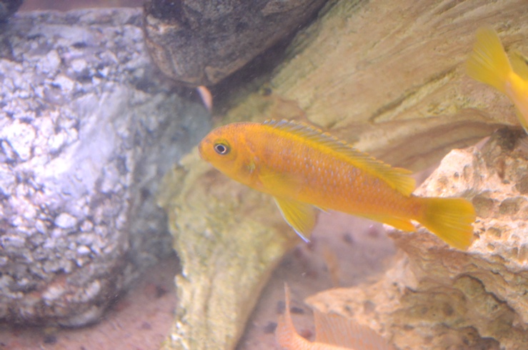 DSC_0398.JPG