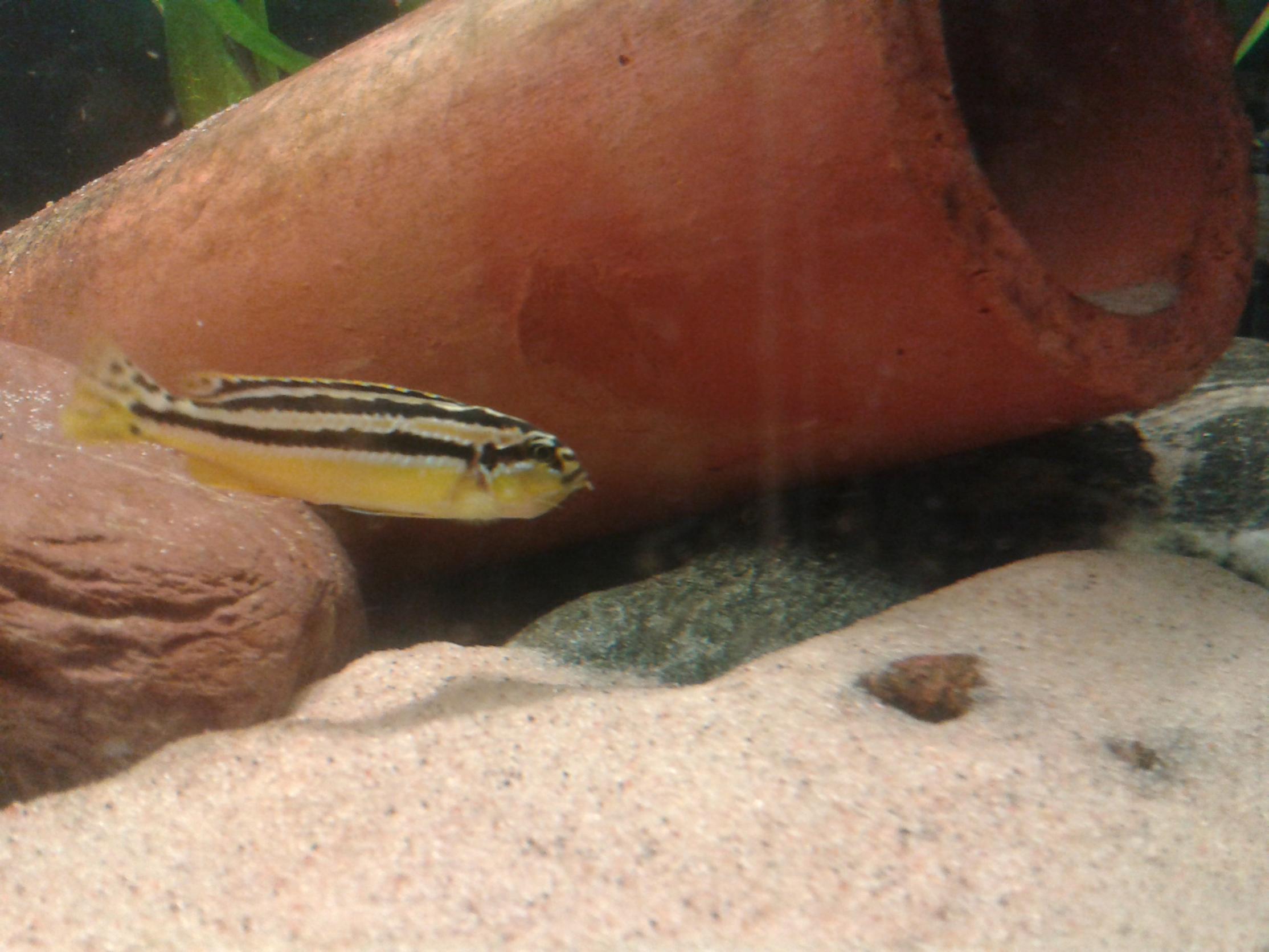 20140511_210927.jpg