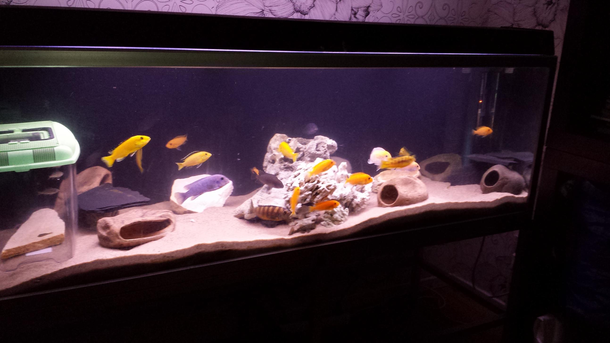 20140606_080031.jpg