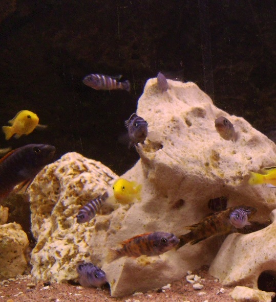 PICT0100.jpg