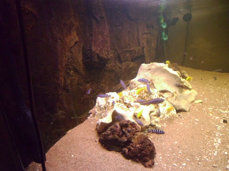 PICT0133.jpg