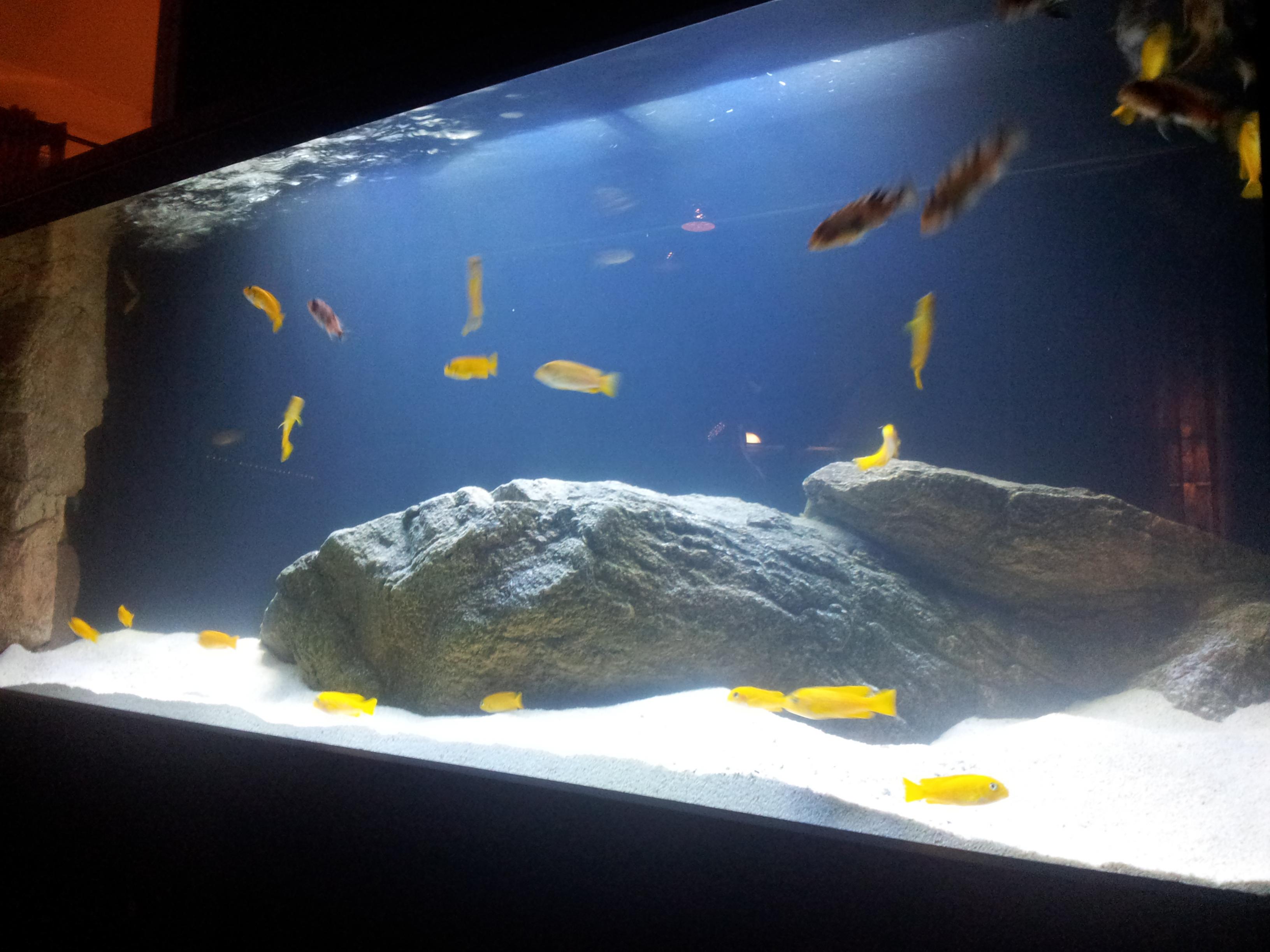 20140110_192534.jpg