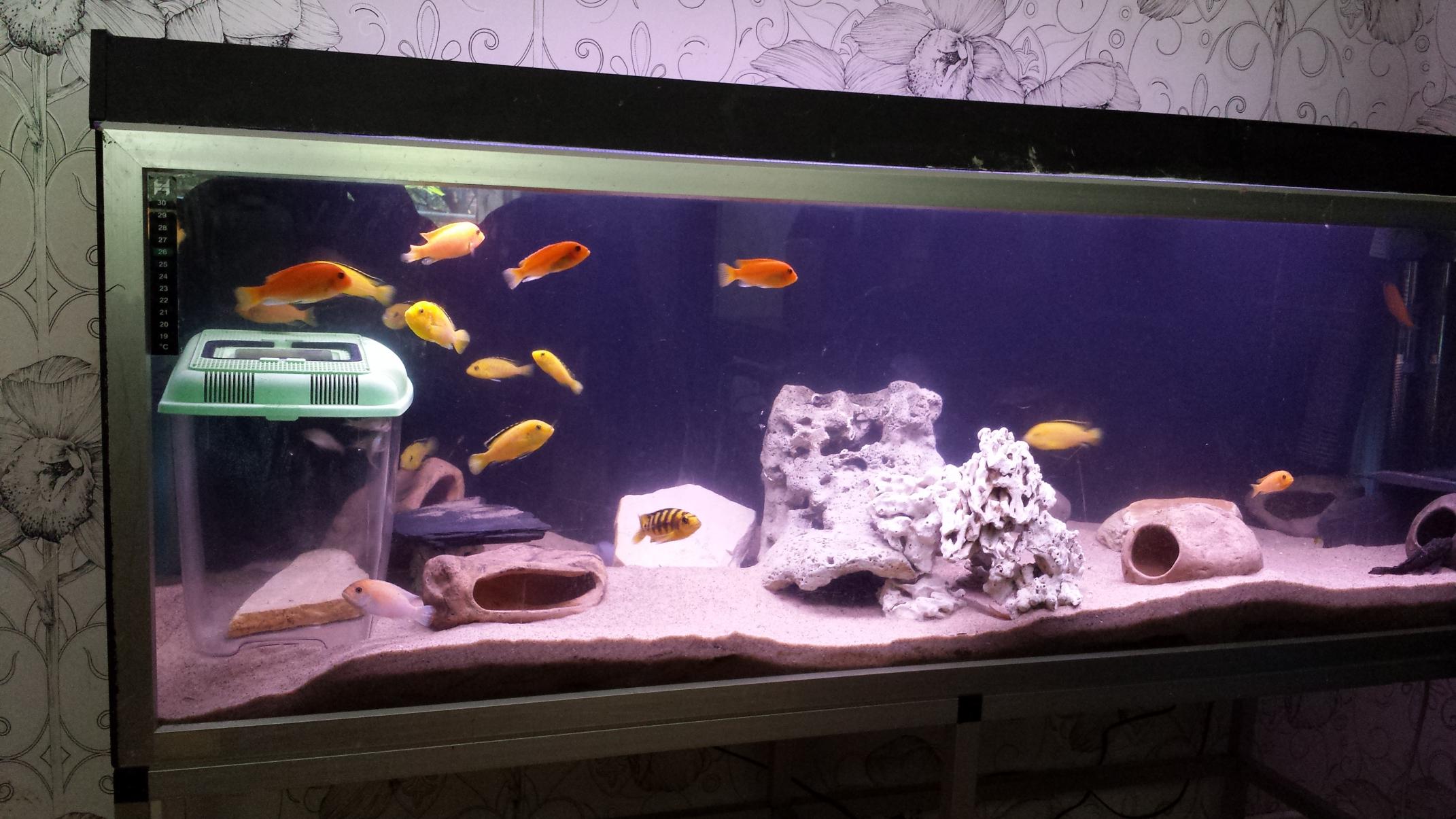 20140608_152145.jpg
