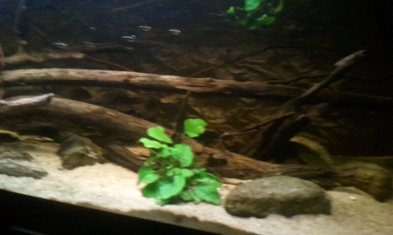 2014-08-17 10-49-45-181.jpg