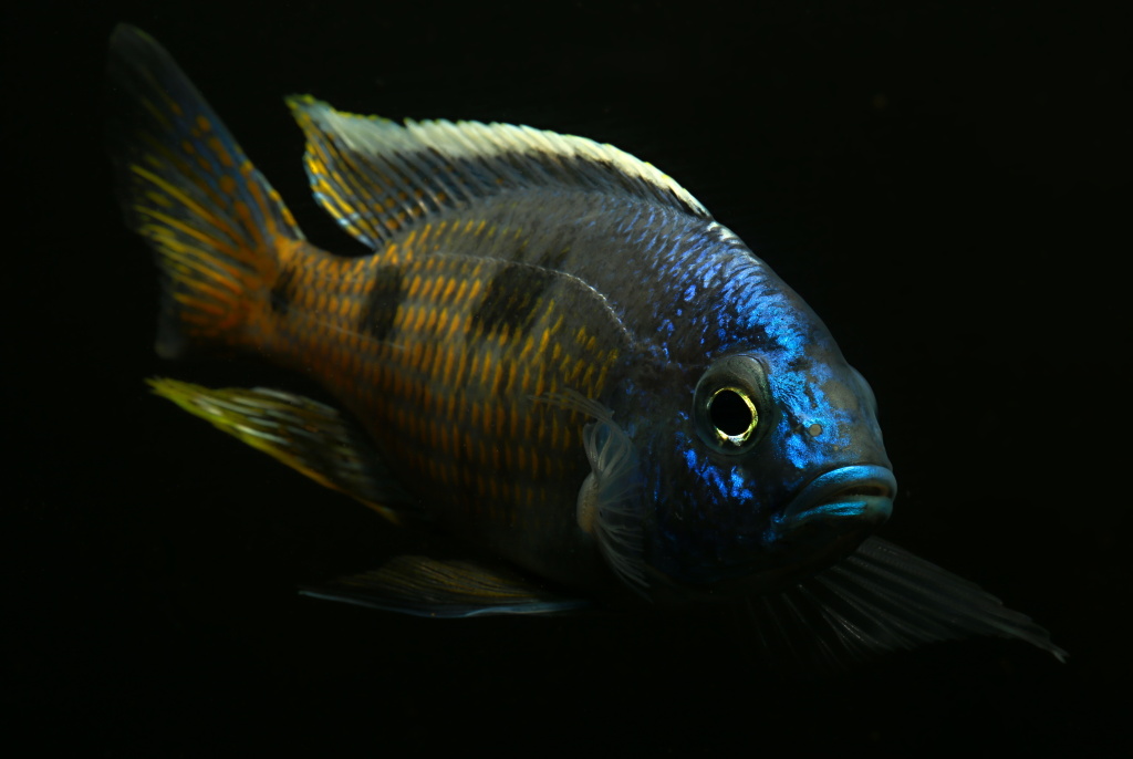 721A5616.JPG