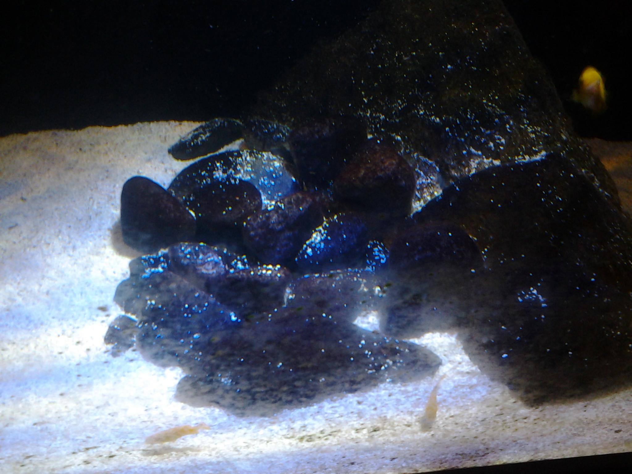 20141105_170920.jpg