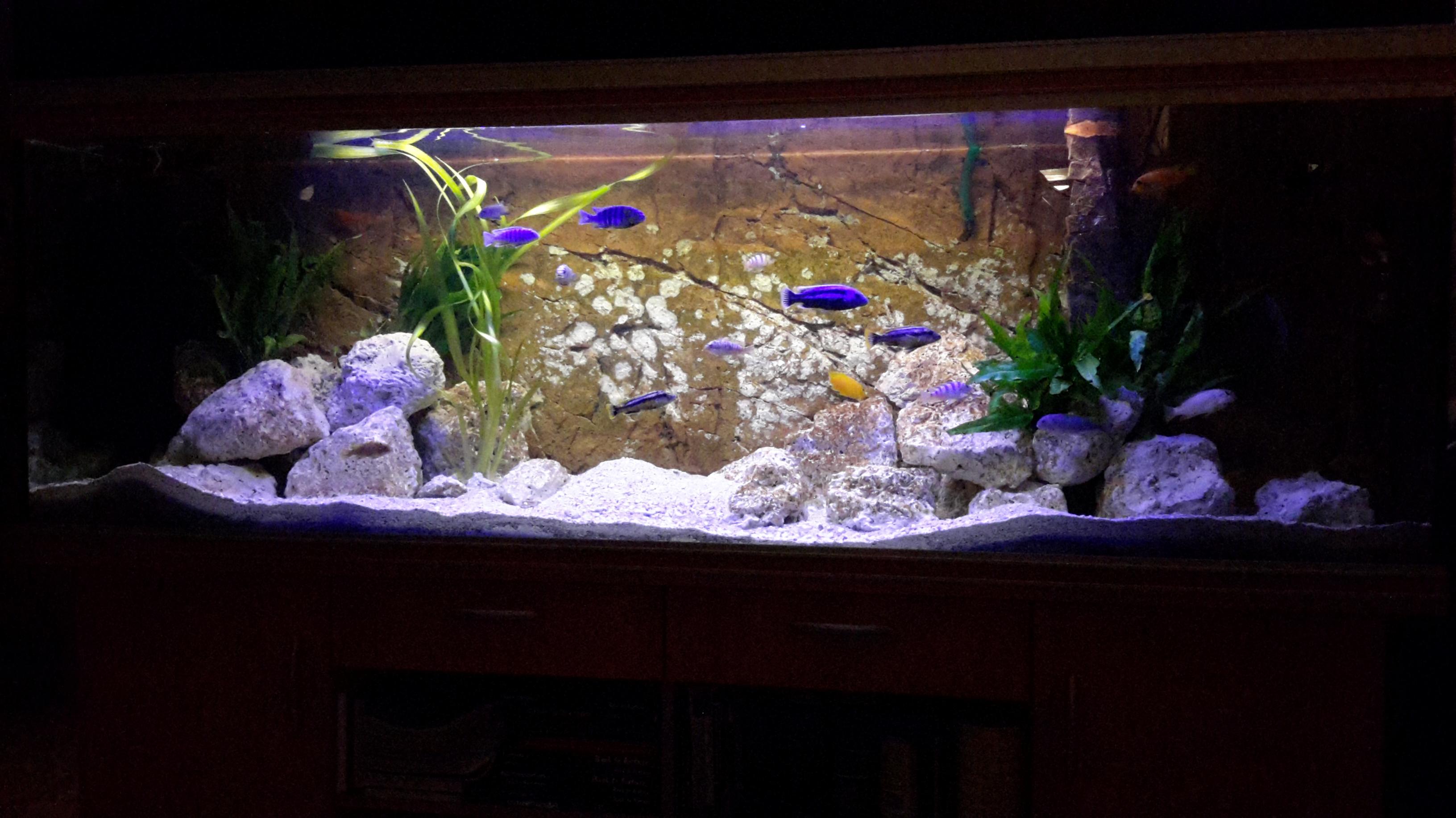 20141022_215610.jpg