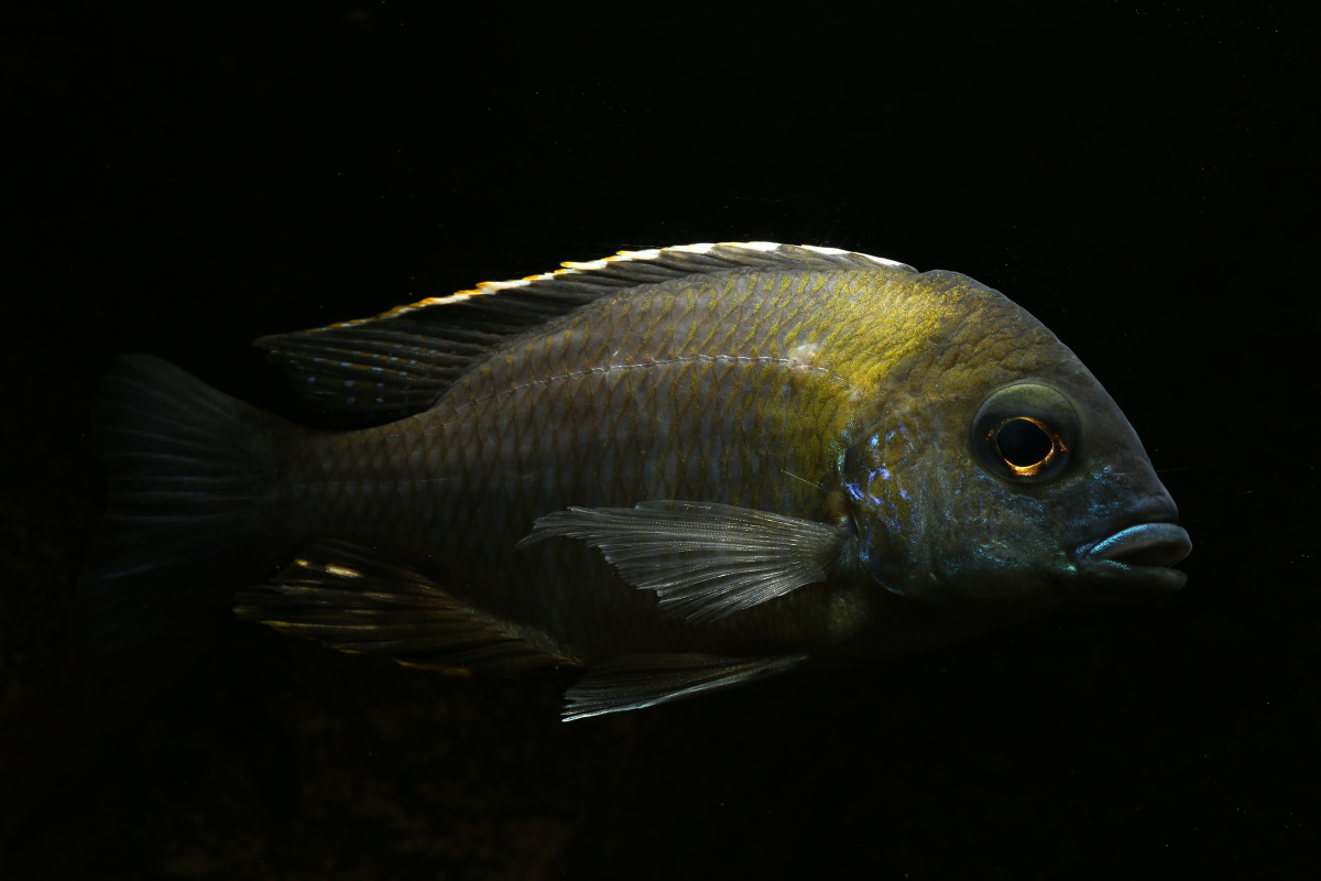 721A8683.JPG