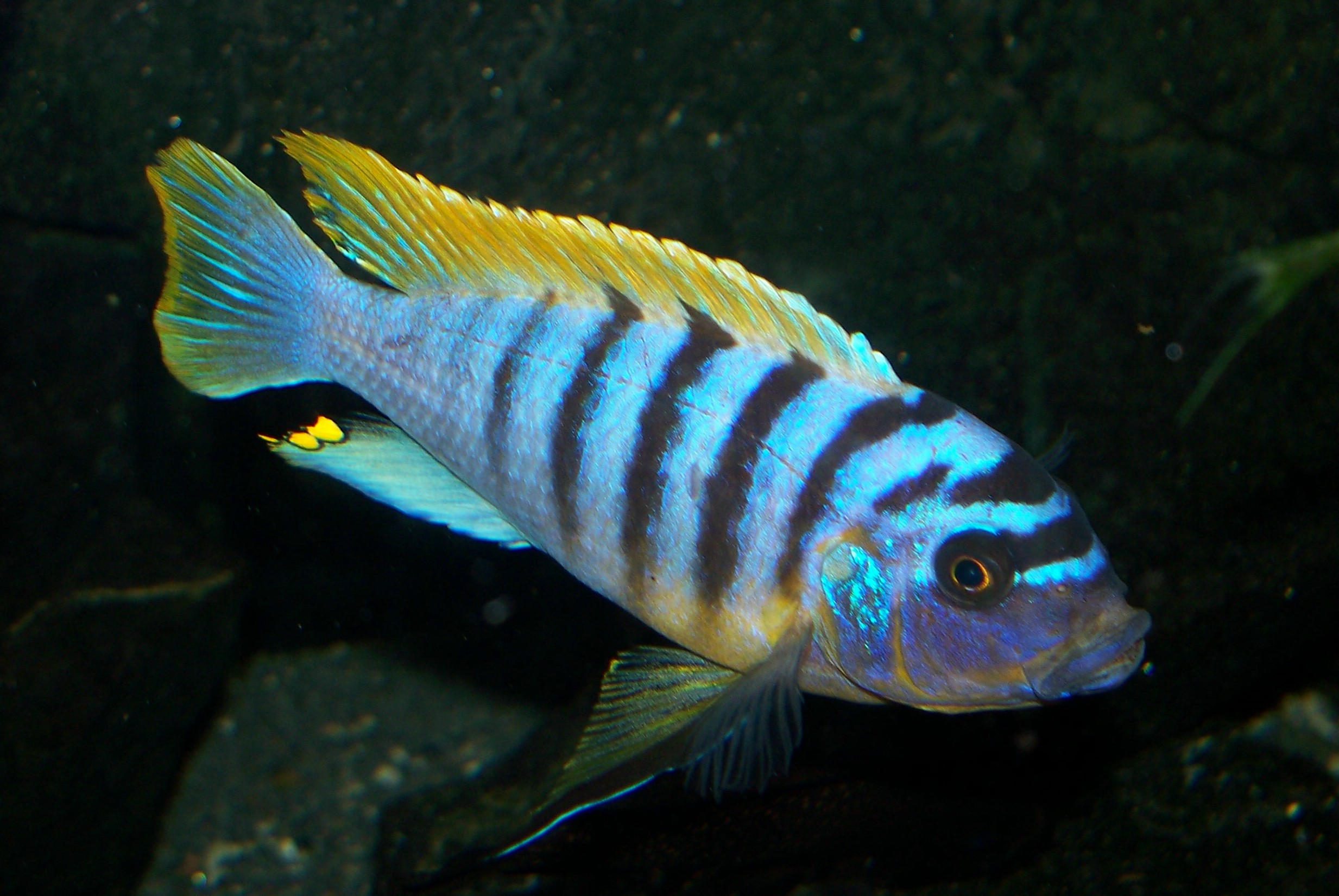 100_13_738ac53f52.jpg