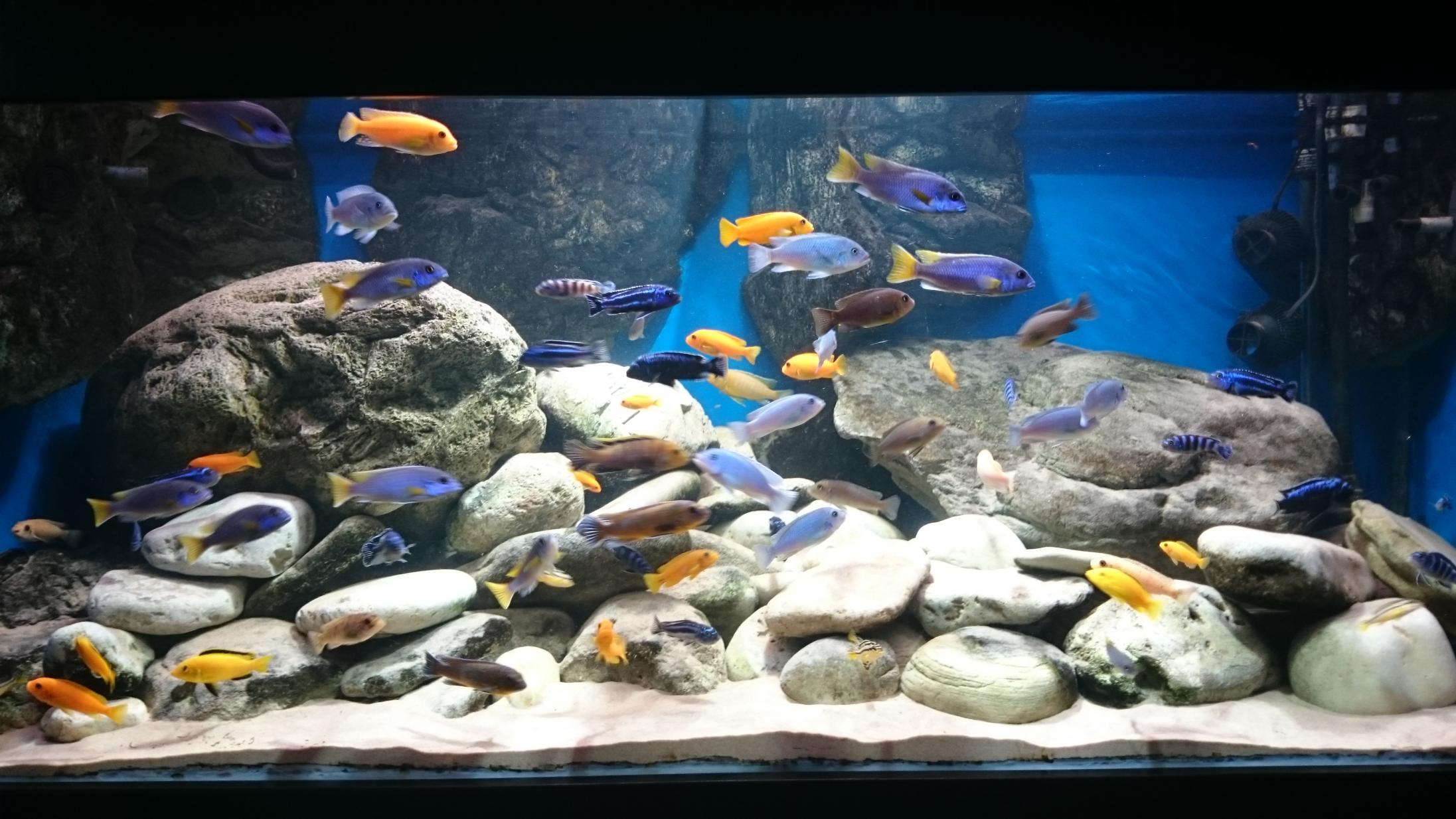 DSC_2461.jpg
