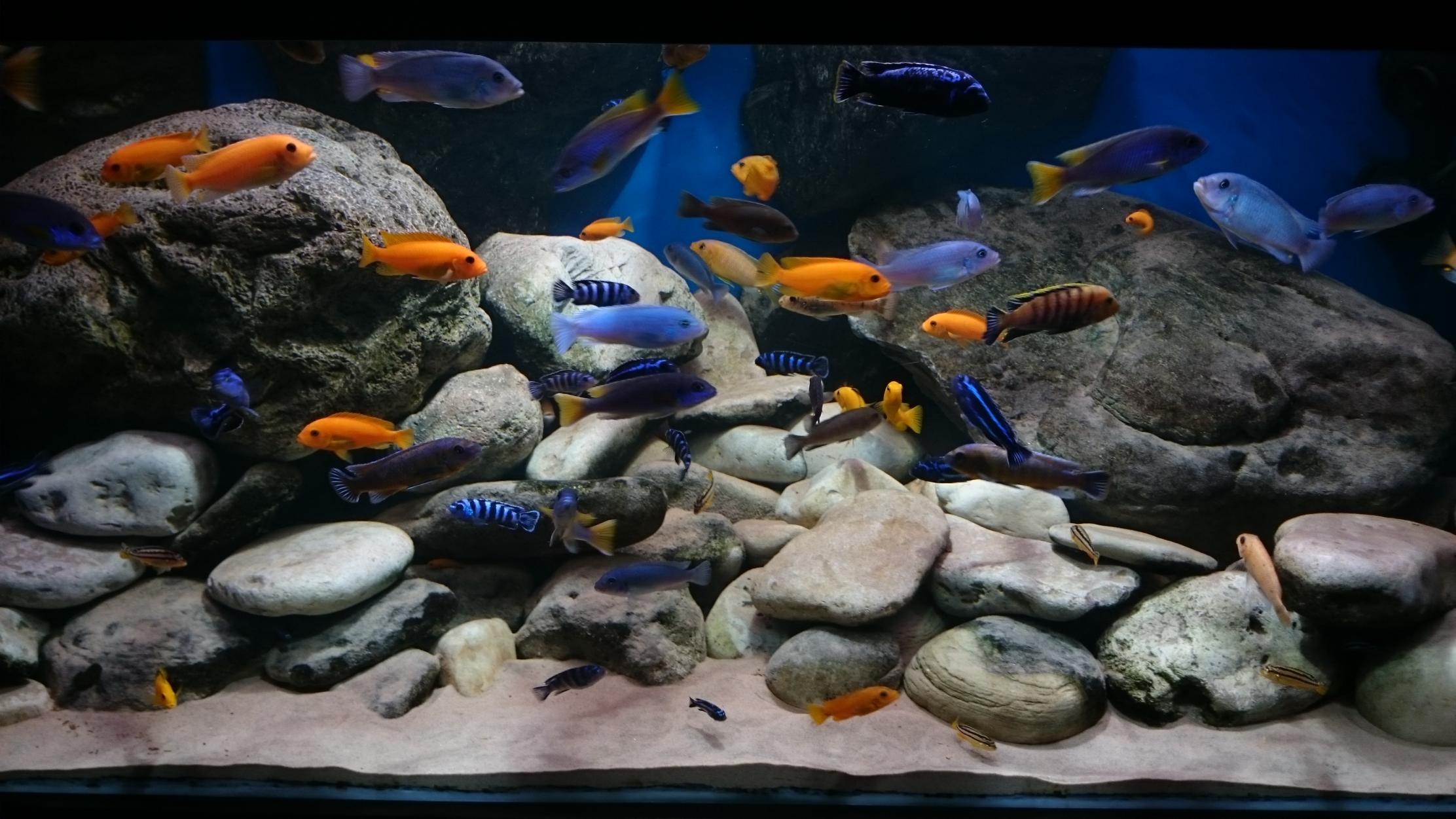 DSC_2462.jpg