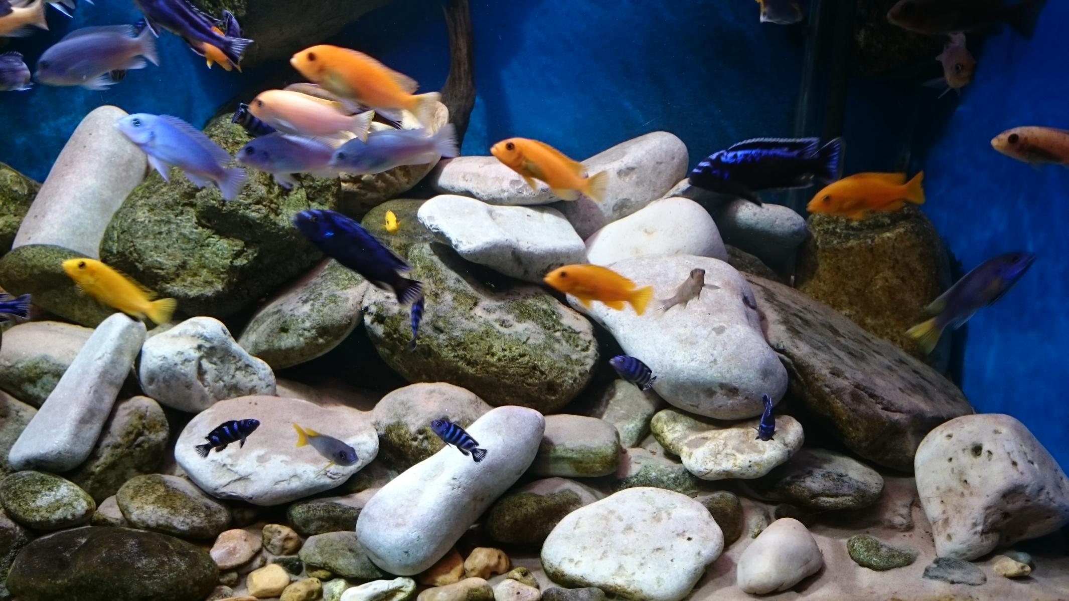 DSC_2282.jpg