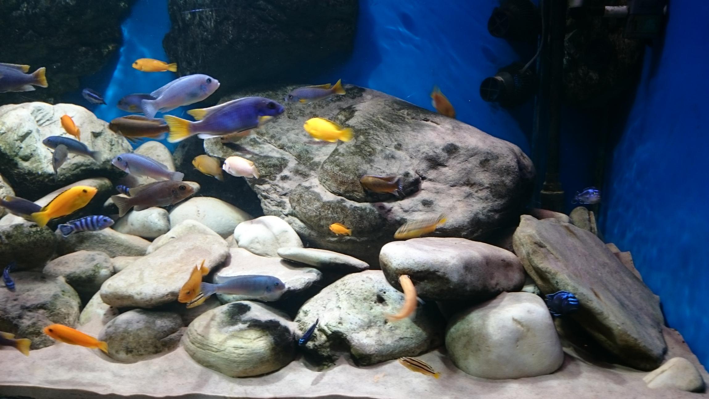 DSC_2465.jpg
