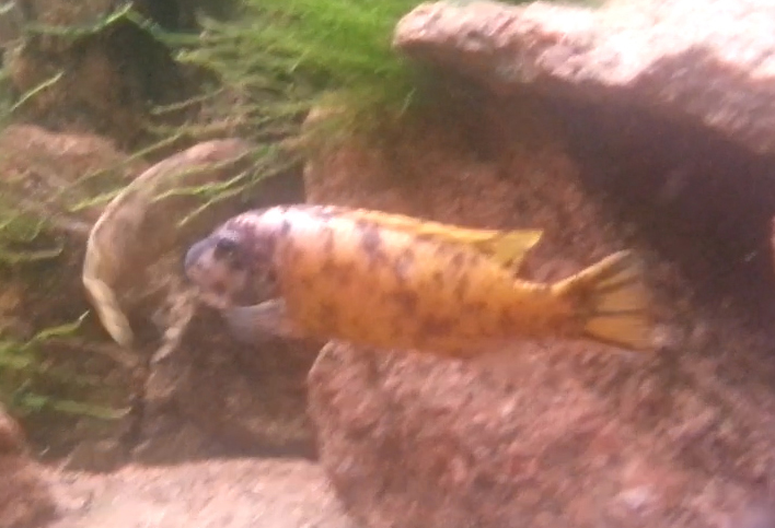 2014-07-25.jpg
