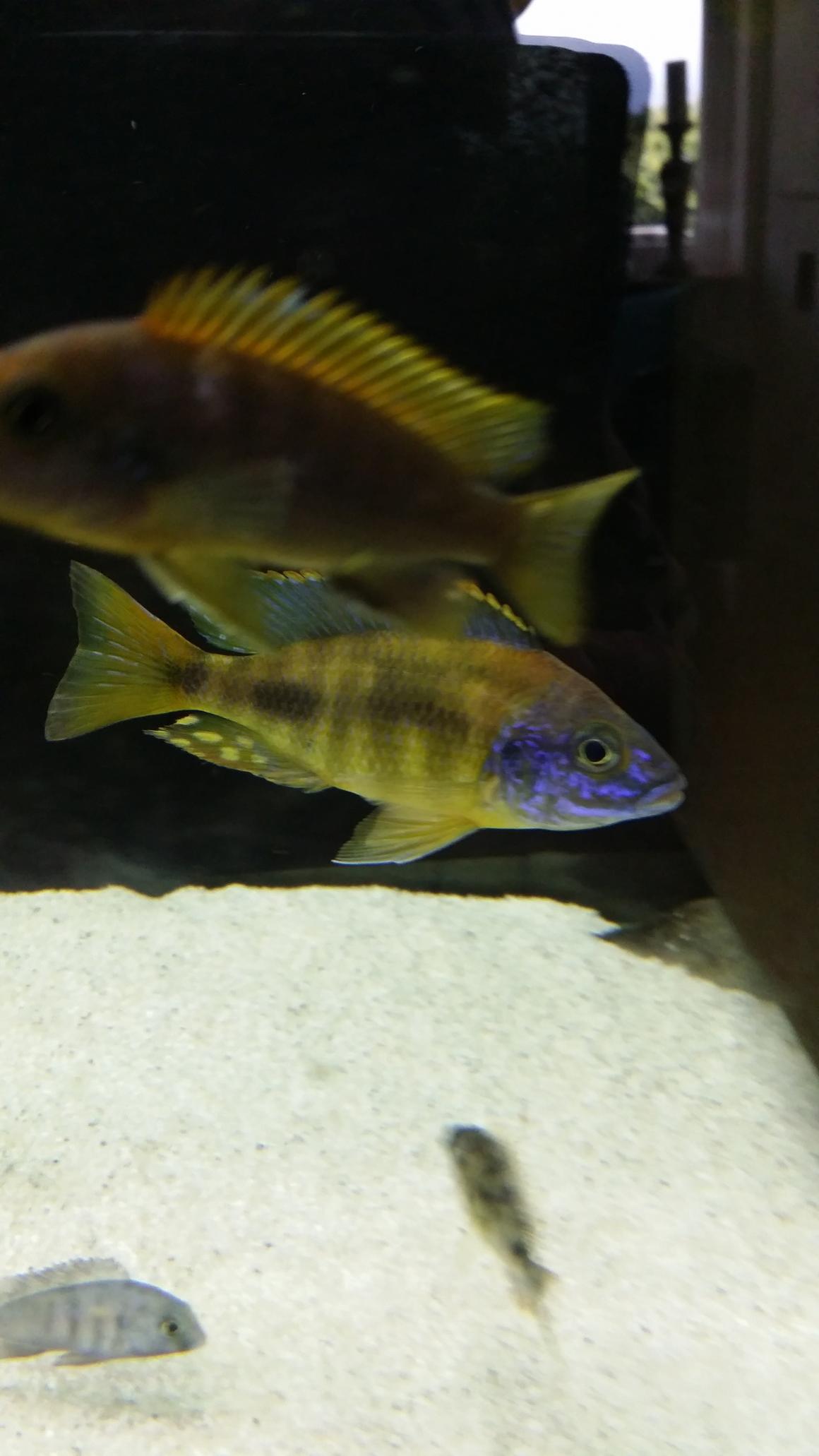 20140622_131115uuu.jpg