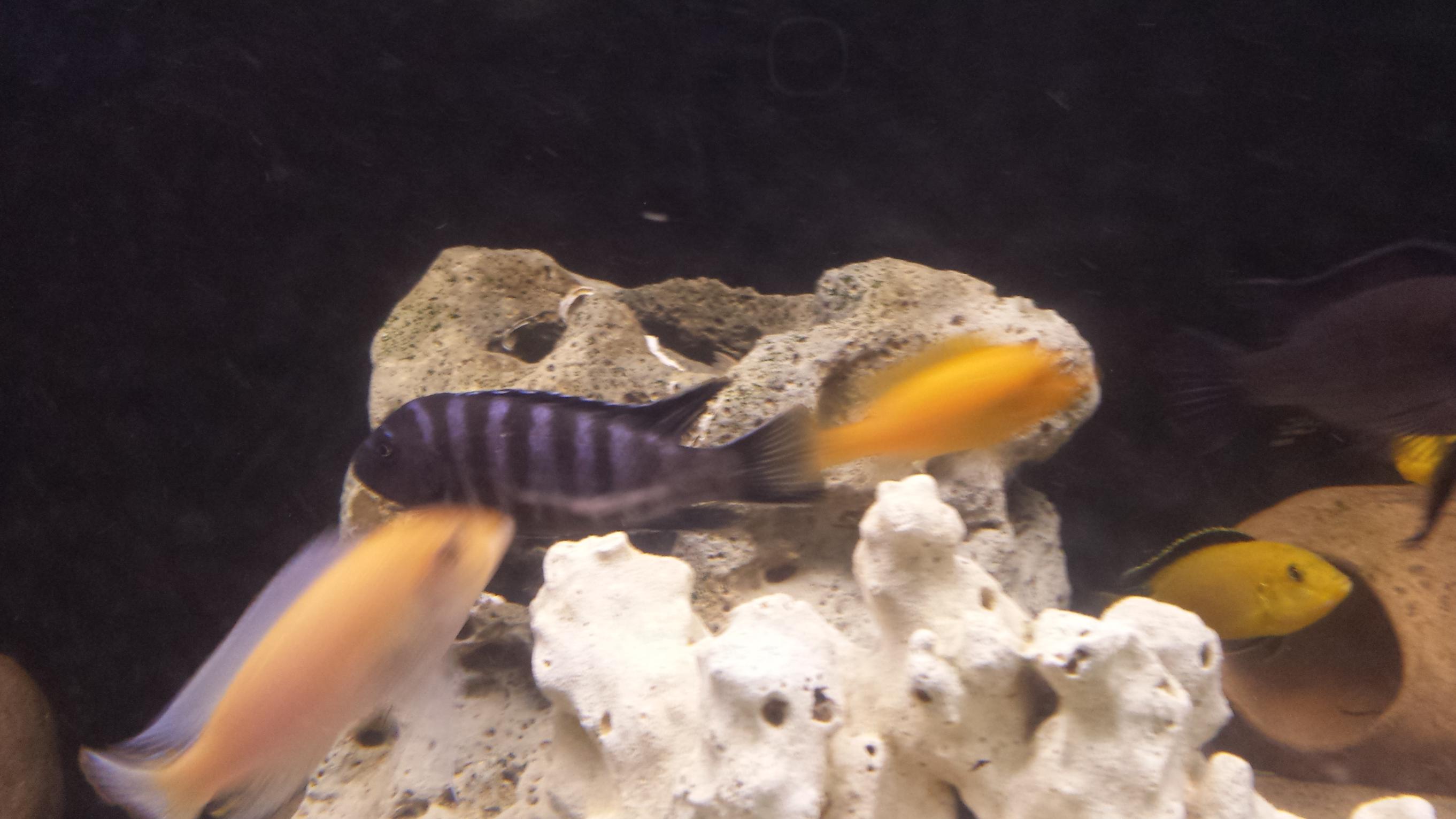 20140605_103026.jpg