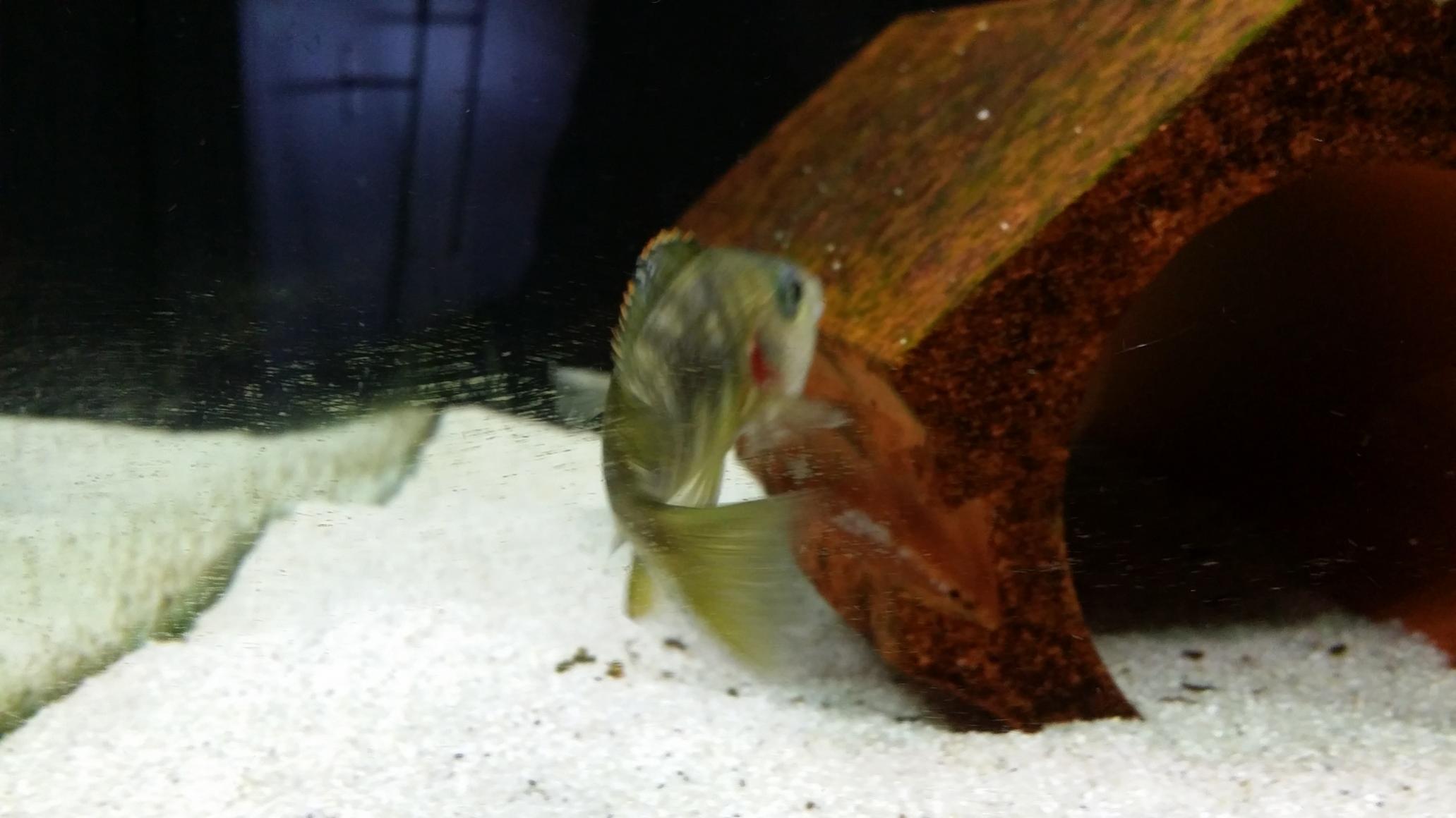 20140623_131646wewe.jpg
