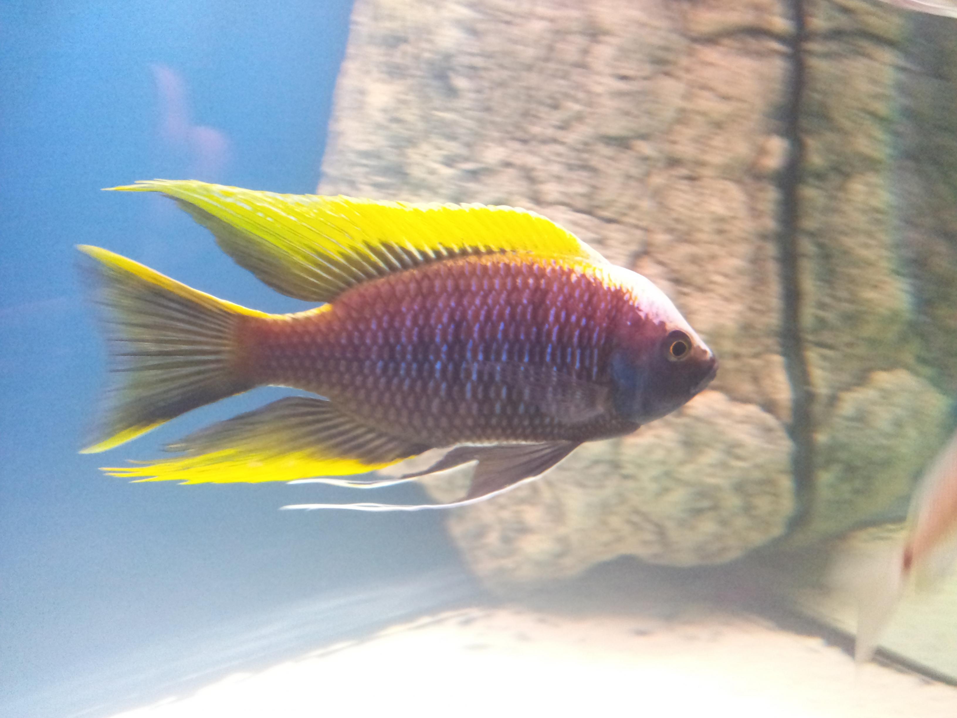 20130121_170740.jpg