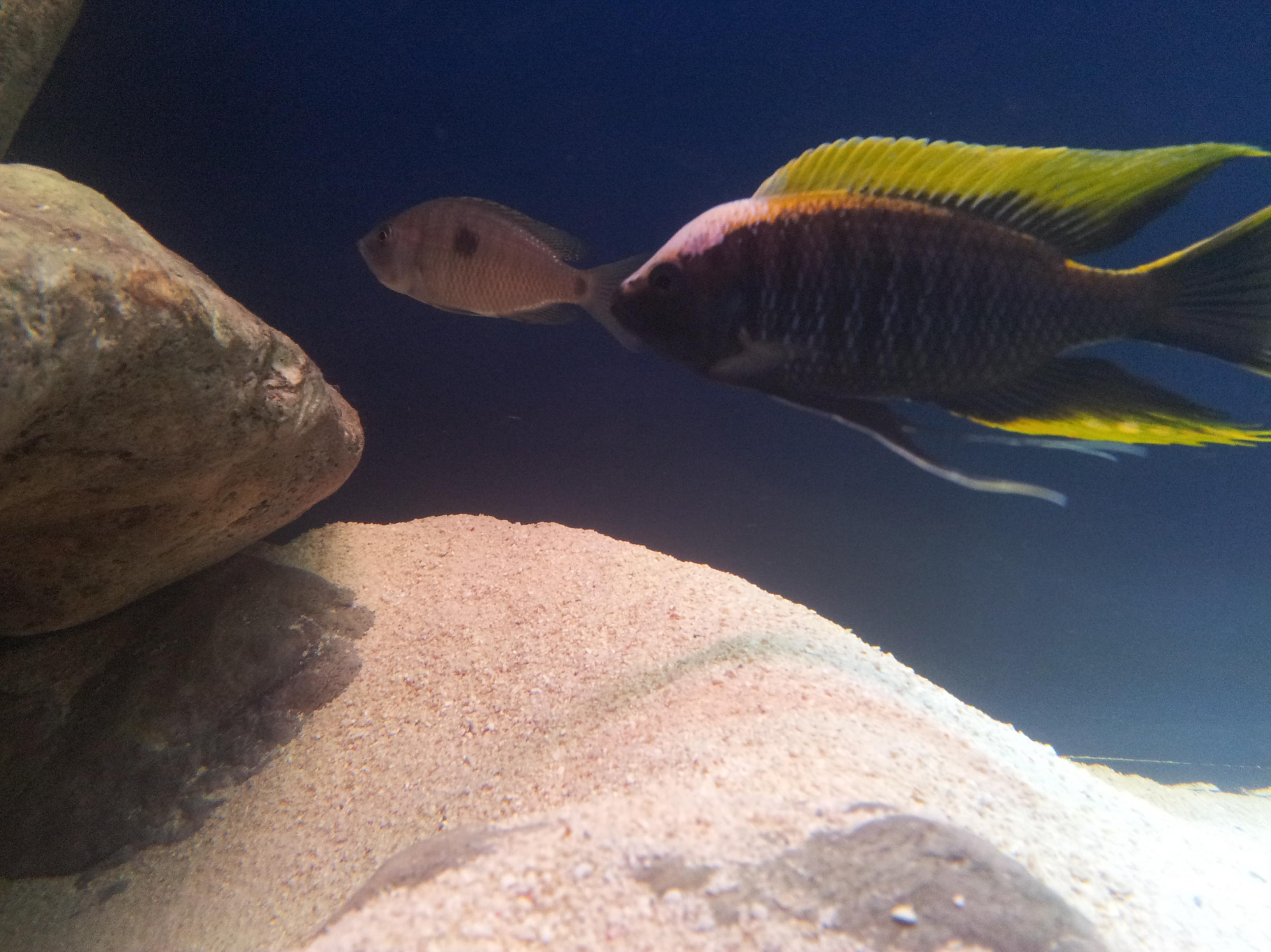 20130121_171503.jpg