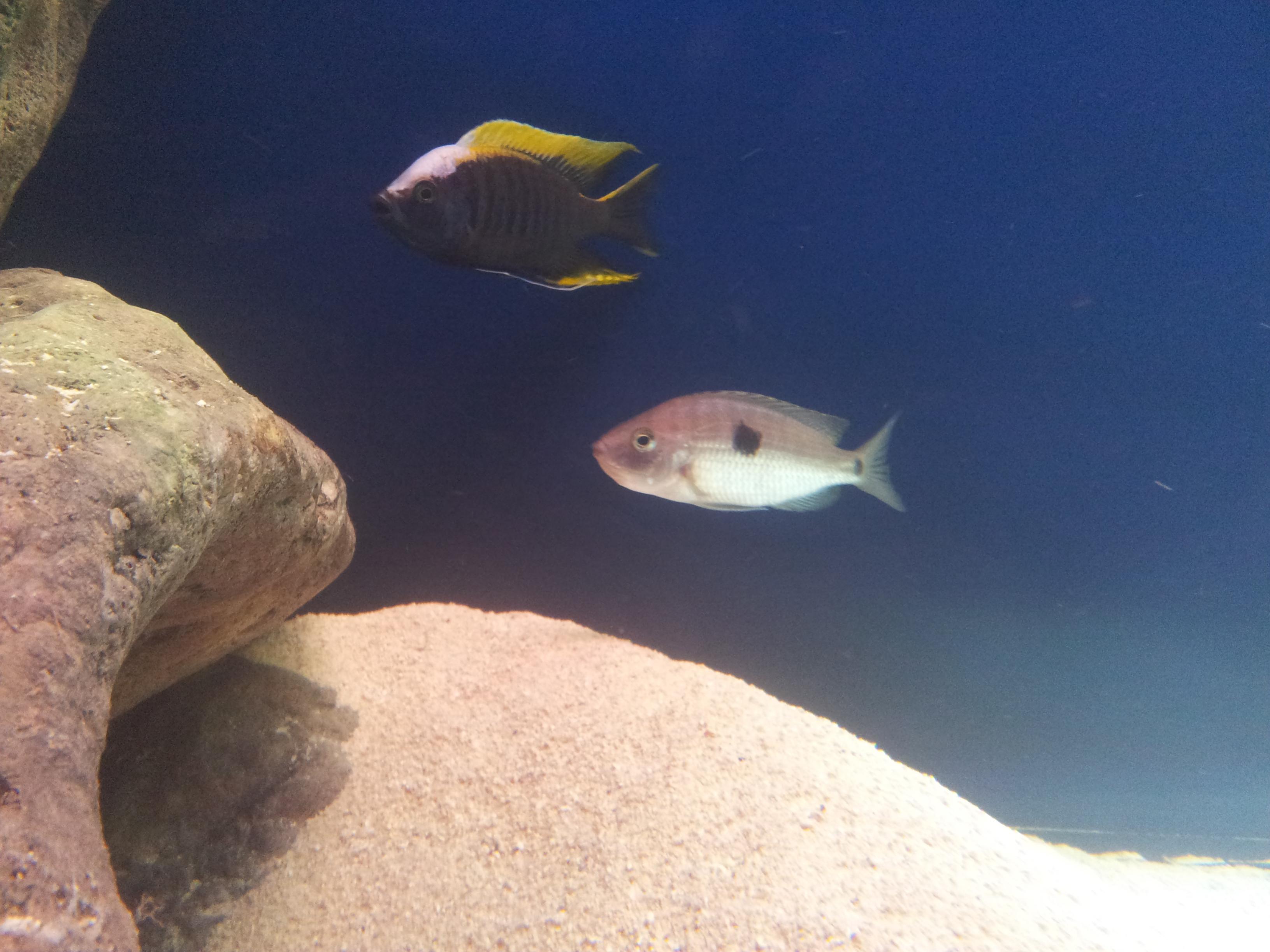 20130121_171714.jpg