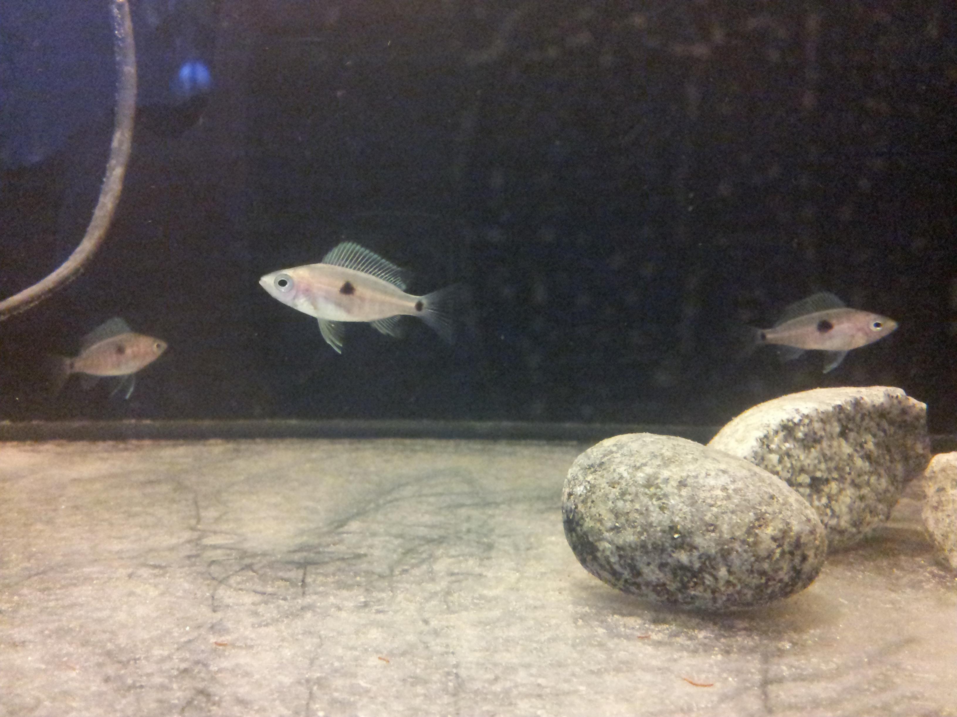 20120410_195627.jpg