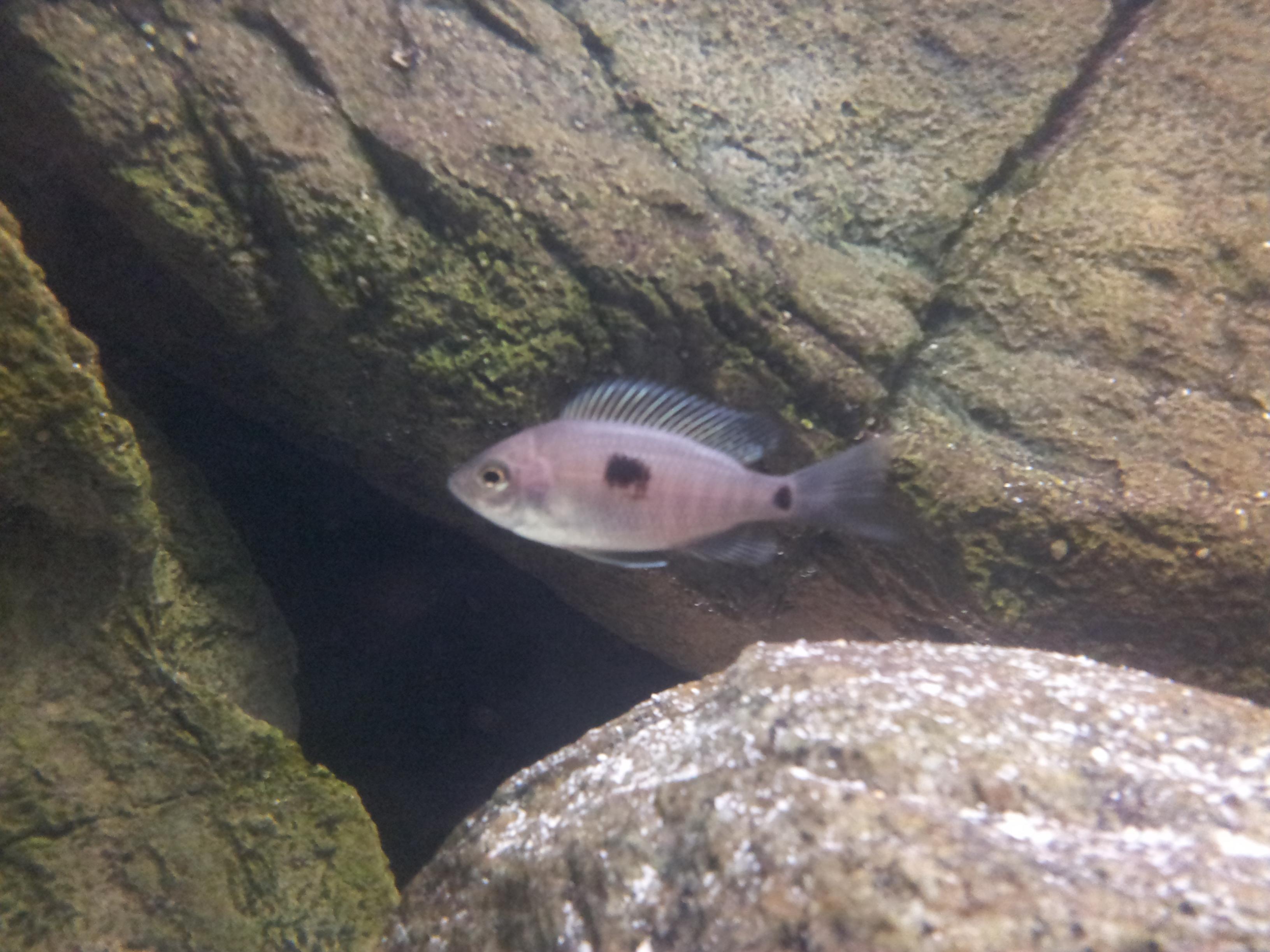 20120410_200754.jpg
