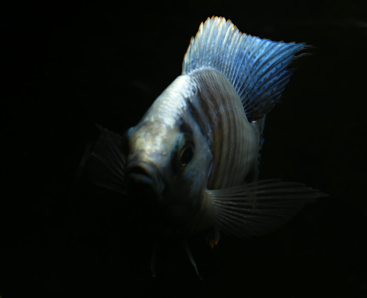 721A4075.JPG