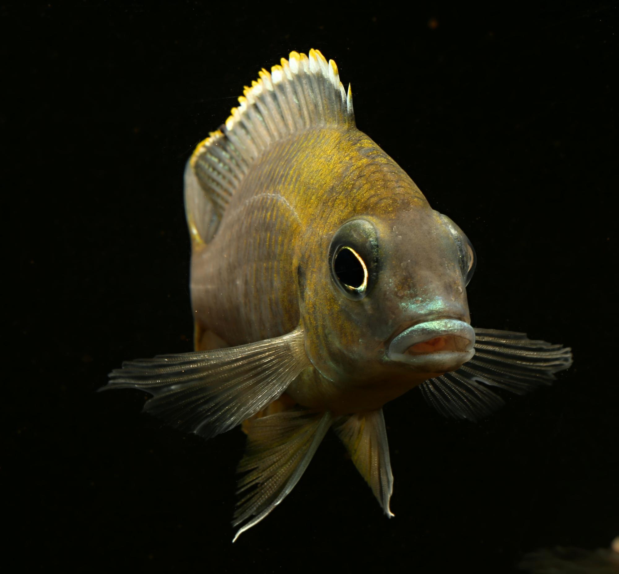 721A9752.jpg